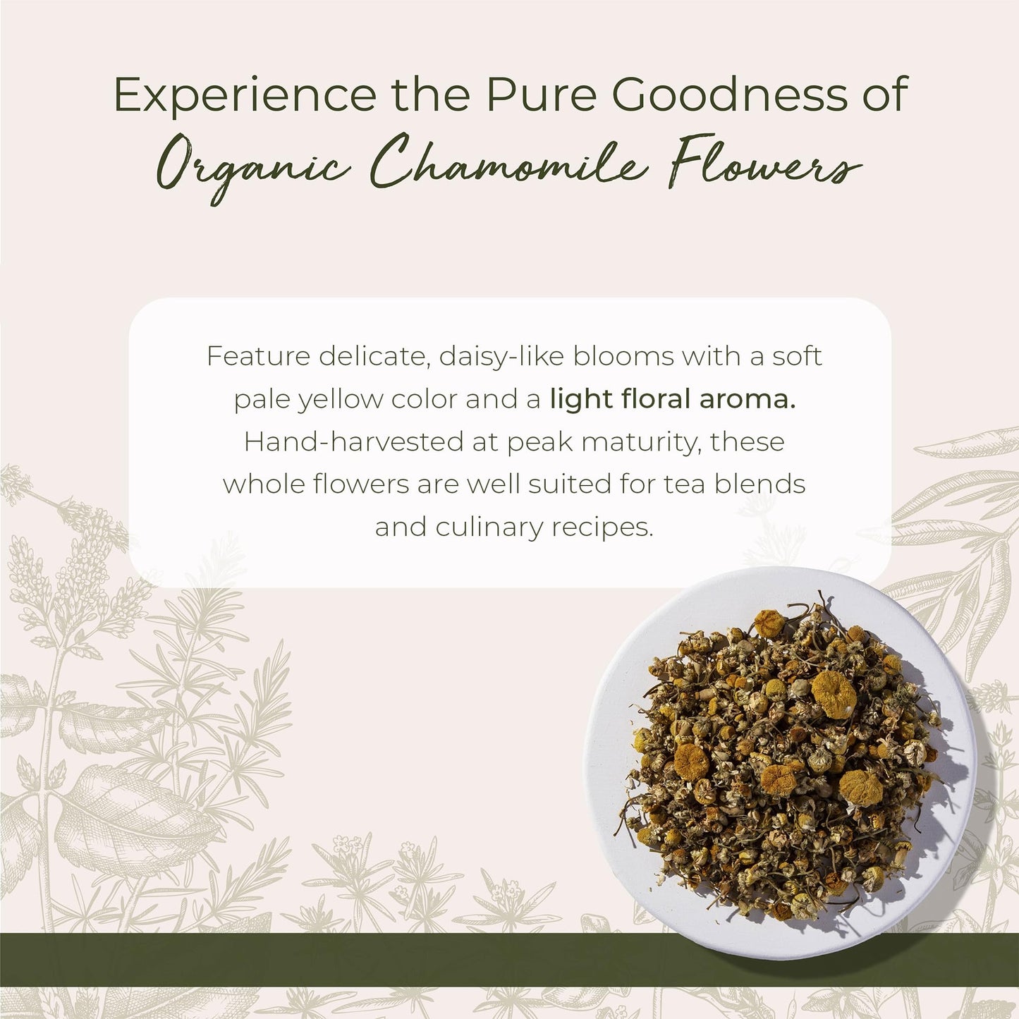 Starwest Botanicals Chamomile Flowers Powder 1 lb