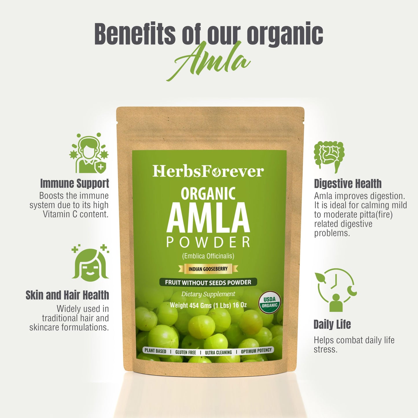 Herbsforever Amla Powder 16 oz Vitamin C