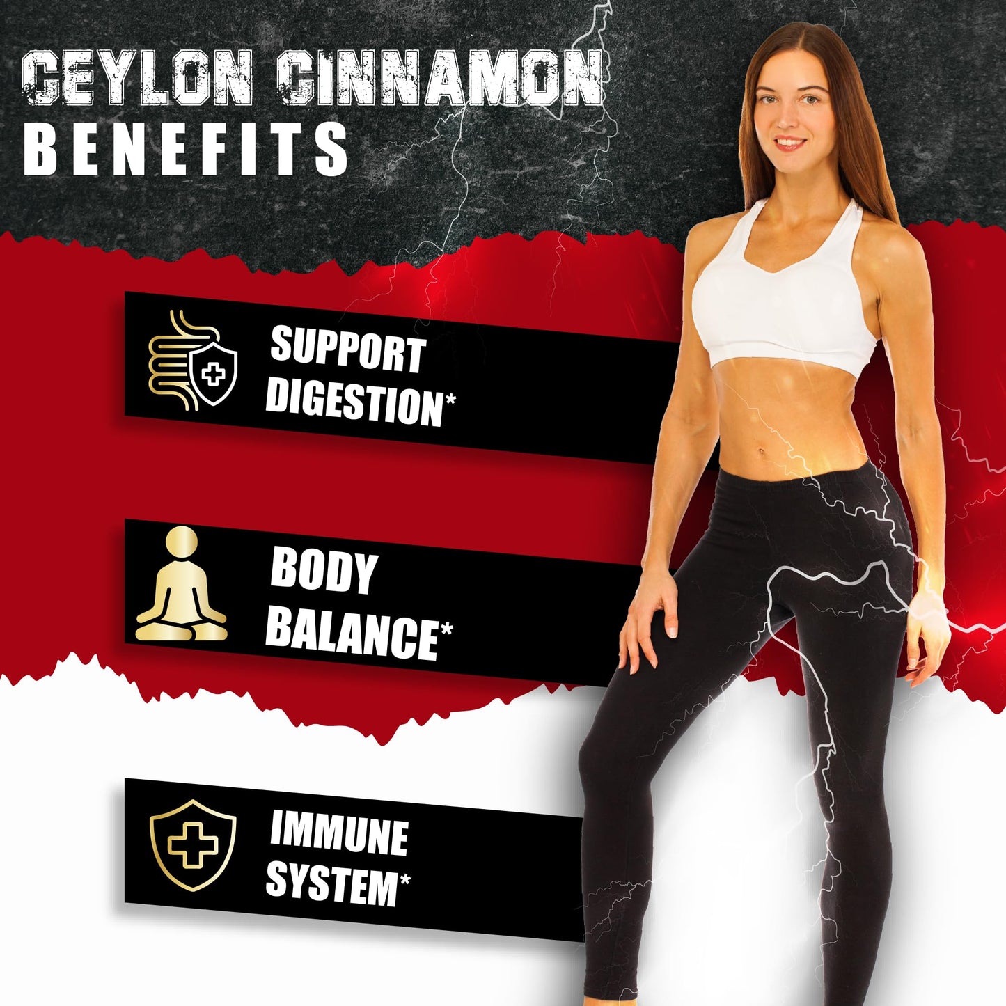 BMVINVOL Ceylon Cinnamon Capsules with Berberine HCl, Apple Cider Vinegar, Turmeric, Ginseng, Black Pepper, 120 Count