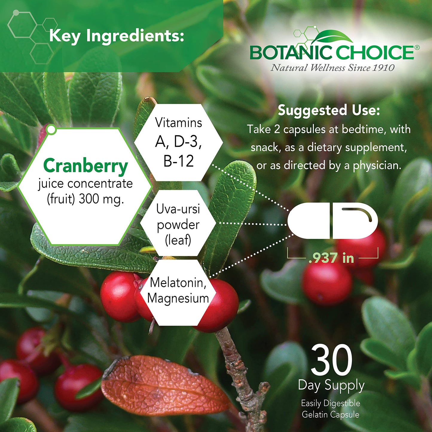 Botanic Choice Pro-Advanced Urinary Formula-Blend for Urinary Tract Health Support - Magnesium Cranberry Uva Ursi Damiana, 60 Capsules