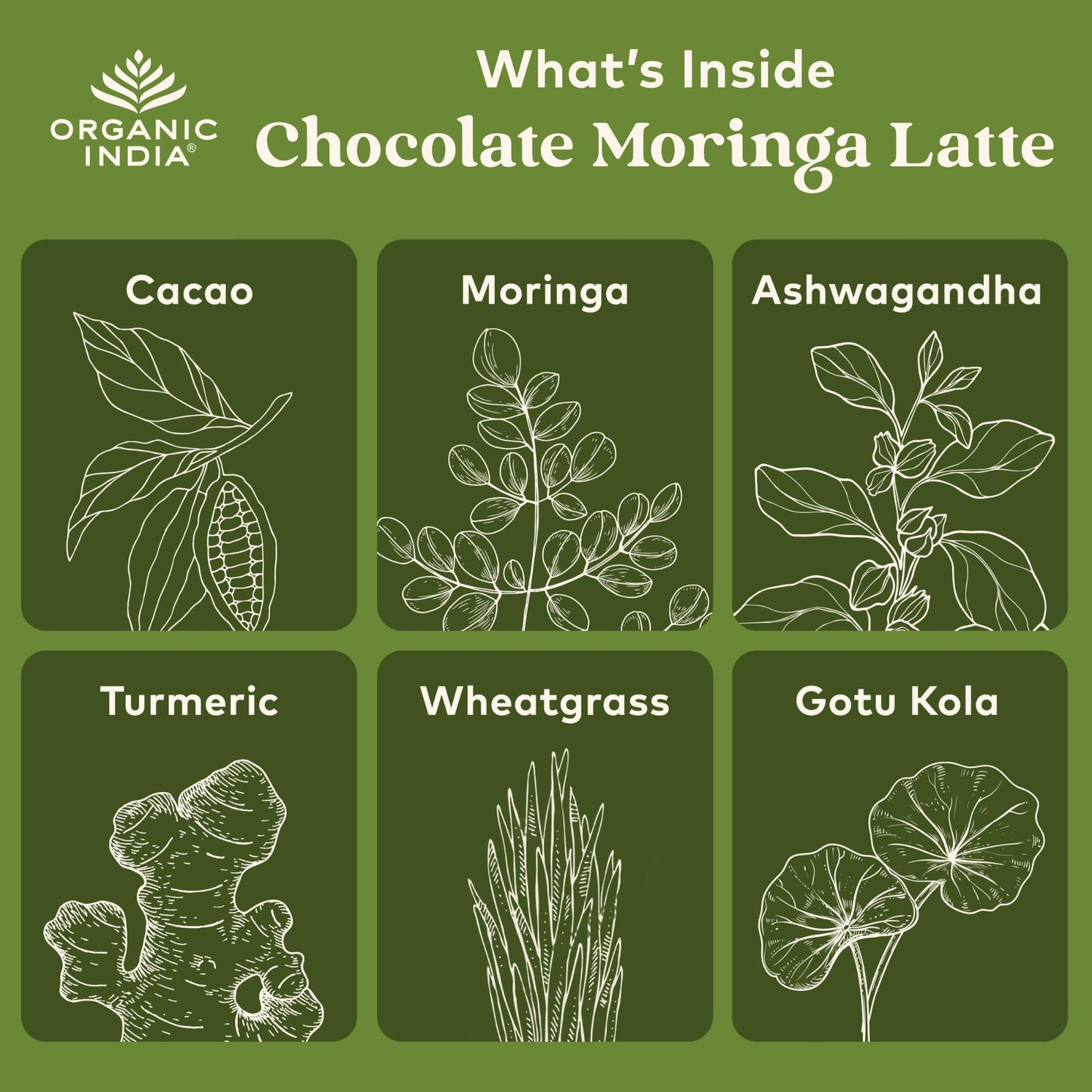 ORGANIC INDIA Chocolate Moringa Latte Powder, 3.5 oz