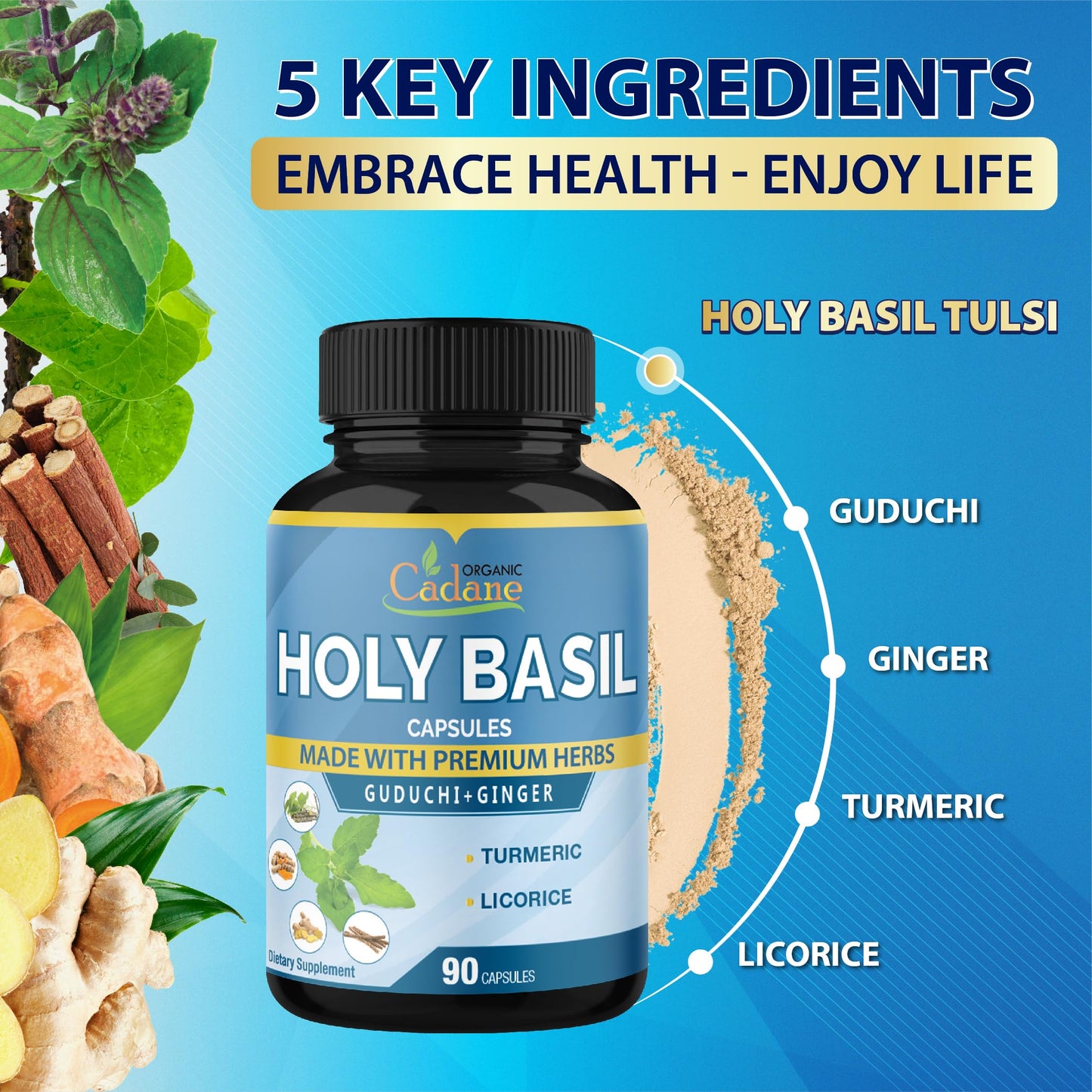 Organic Cadane Holy Basil Supplements 90 Capsules