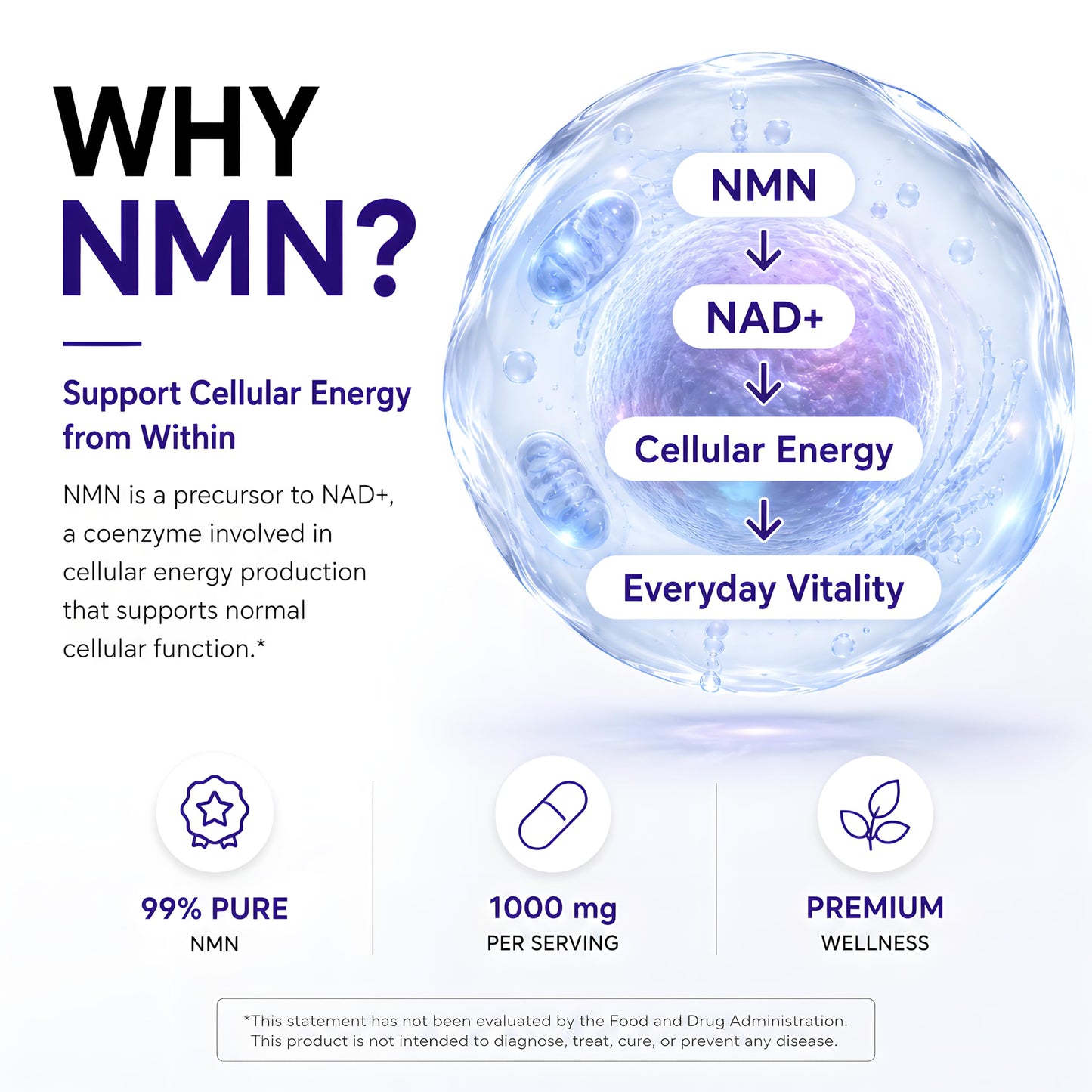 Doc Mila NMN 1000mg Nicotinamide Mononucleotide Capsule, 1 Count