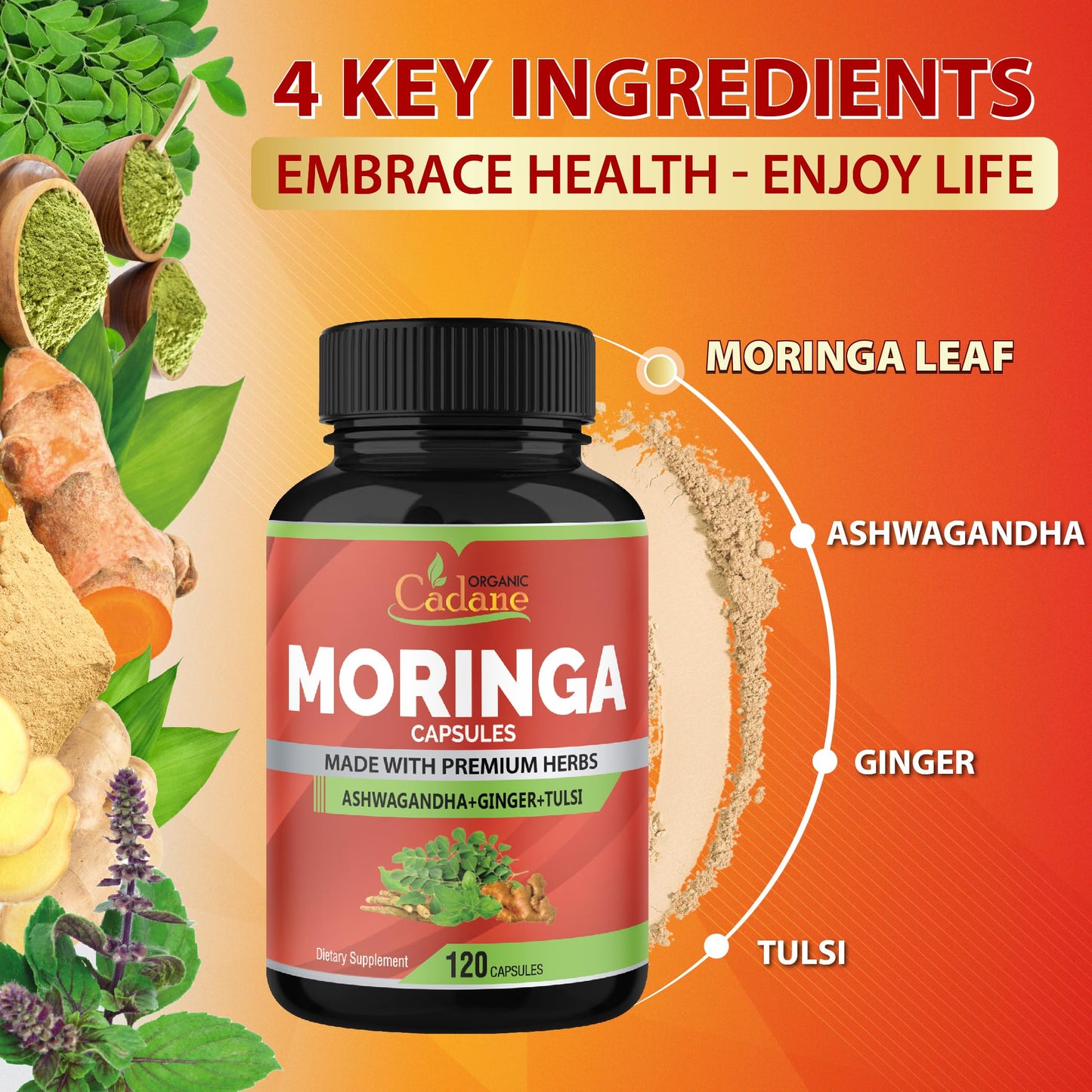 Organic Cadane Moringa Powder Capsules 4in1 with Ashwagandha, Ginger, Holy Basil Tulsi Immune Support Oleifera Leaf Powder Herb Supplements 120 Capsules