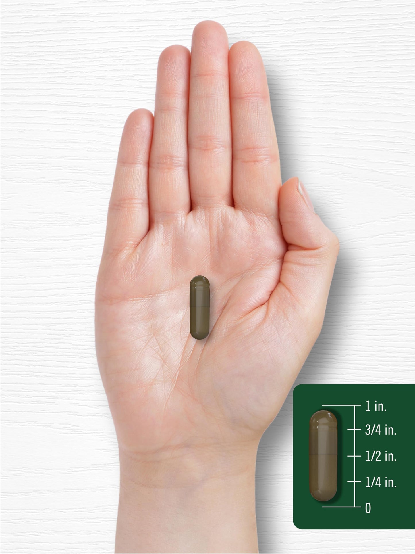 Carlyle Triphala Capsules 180 Count