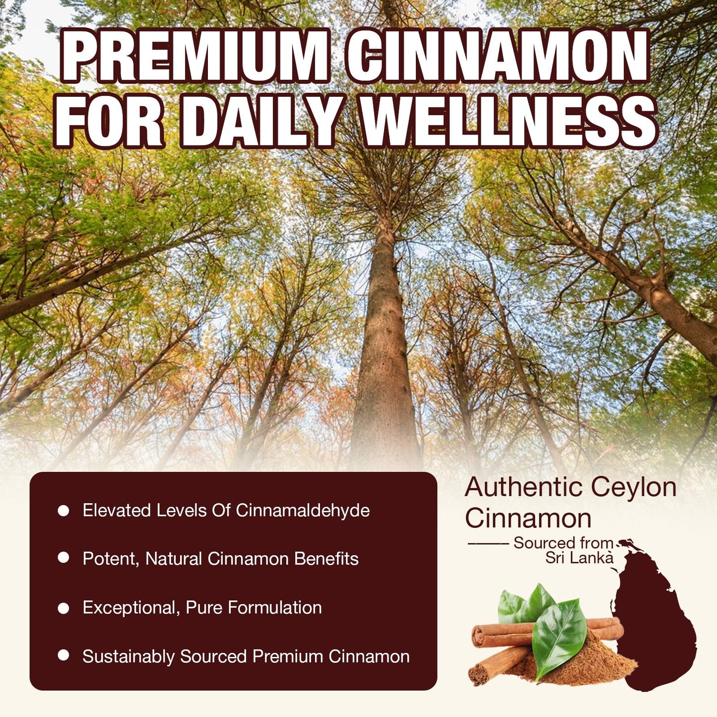 ASISTNETY Ceylon Cinnamon Softgels with MCT Oil, 300 Softgels