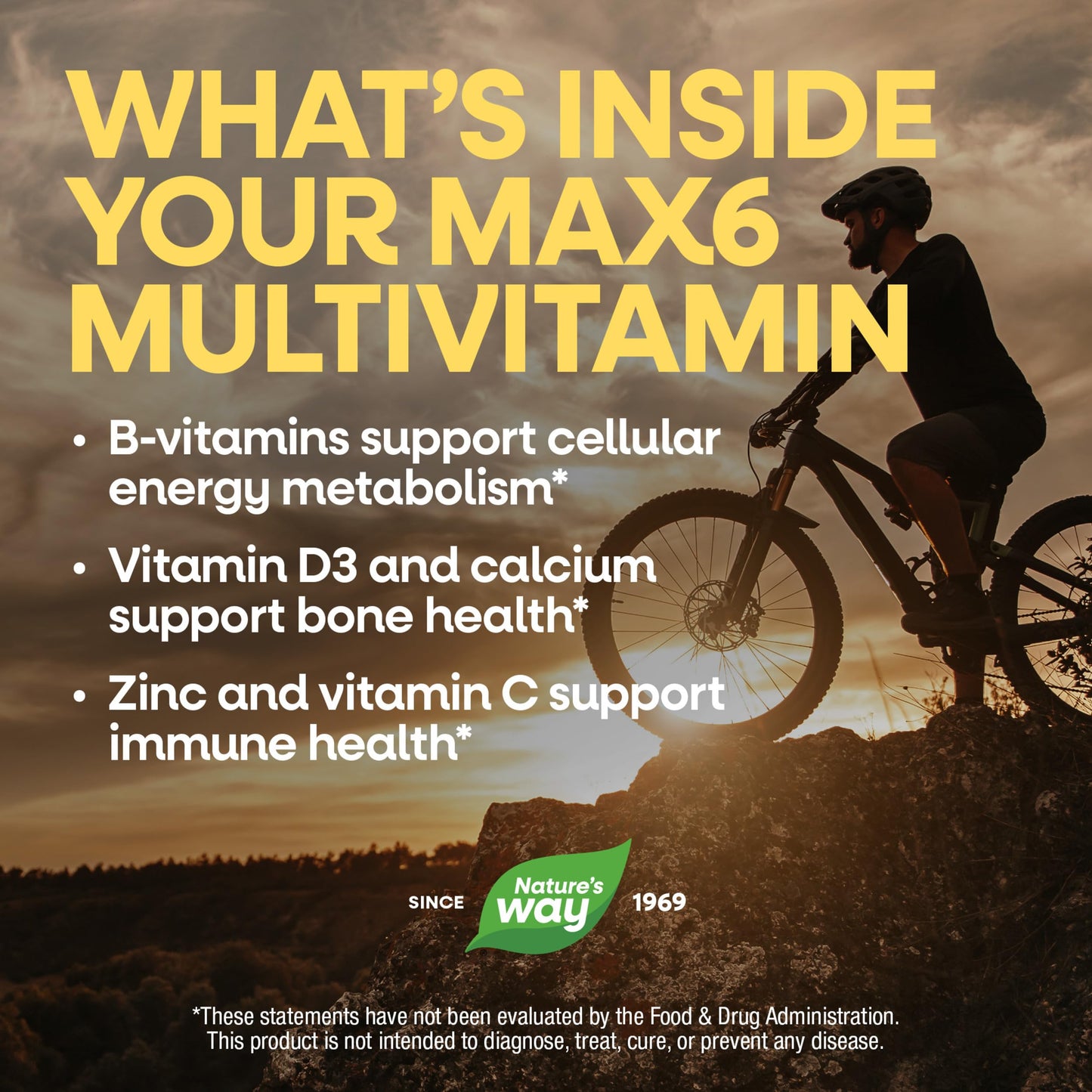 Nature's Way Alive! Max6 Potency Adult Complete Multivitamin, No Iron, 90 Capsules