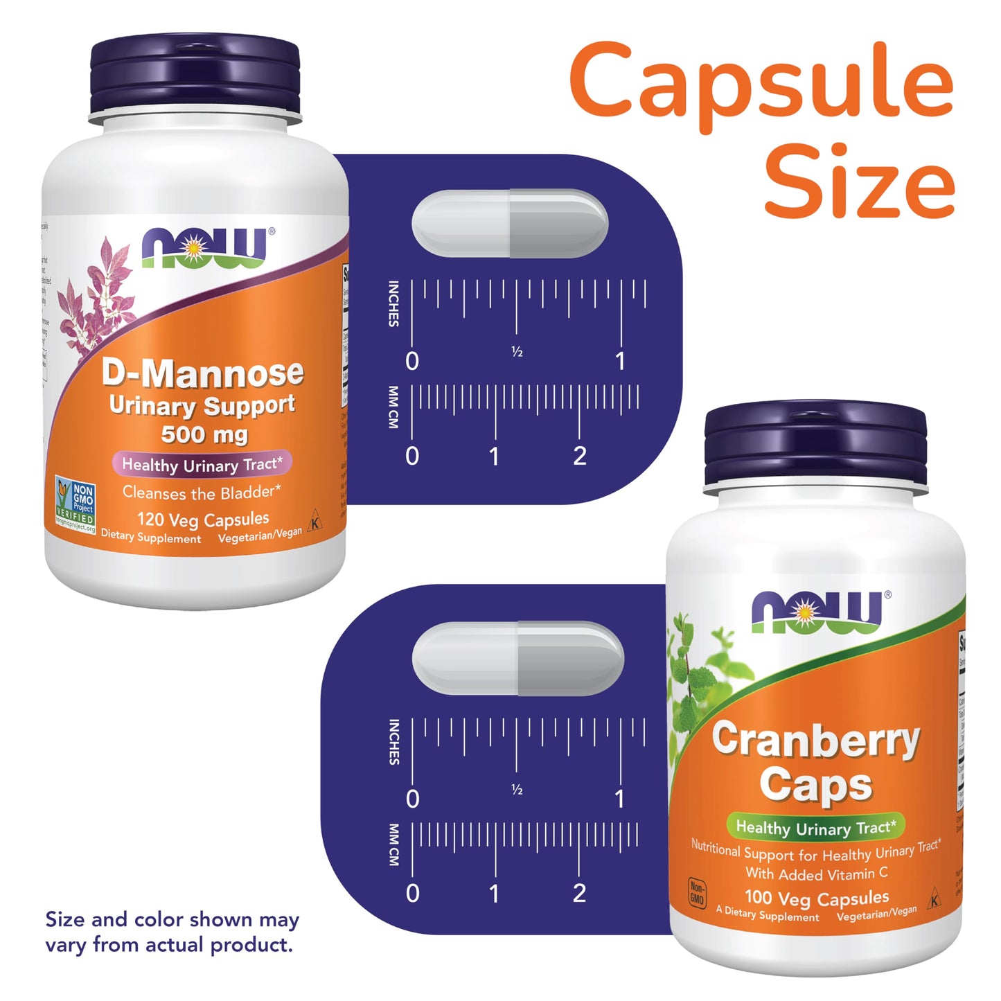 NOW Foods Urinary Tract Health Bundle Capsules 220 Count