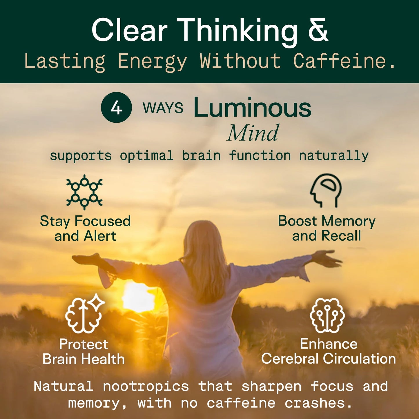 Adapt Naturals by Chris Kresser Luminous Mind Nootropic Brain Supplement with Ginkgo Biloba, Bacopa and Lions Mane, 60 Capsules