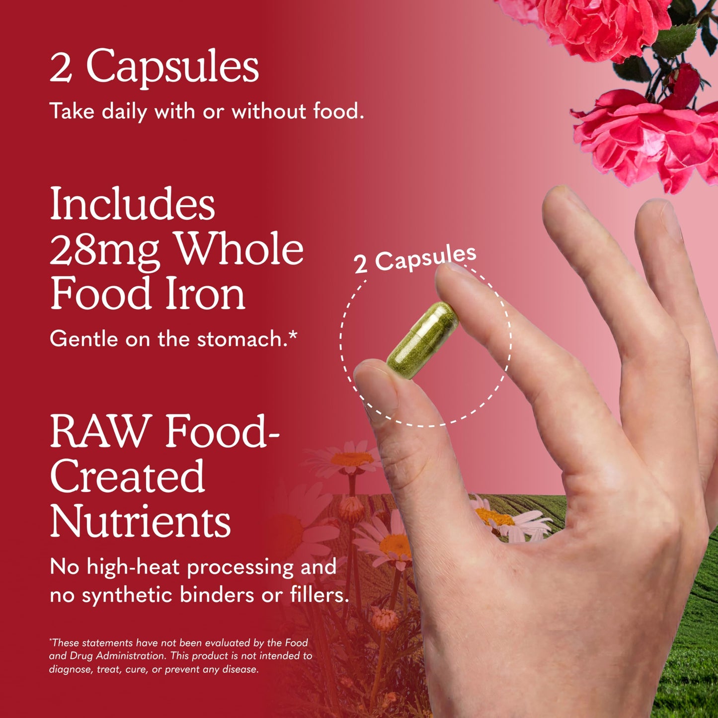 Garden of Life Vitamin Code Healthy Blood Iron Supplement for Women 60 Capsules