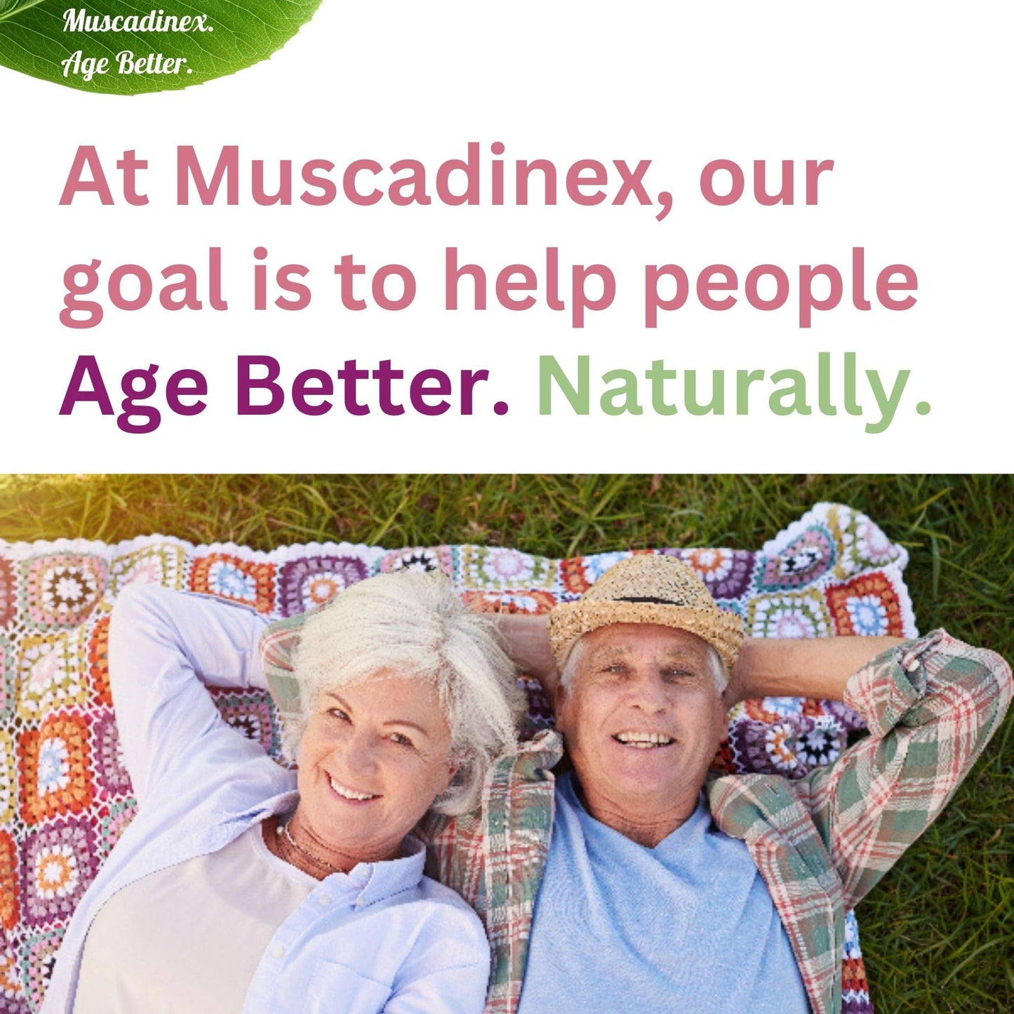 Muscadinex Muscadine Grapeseed Supplement Slow Release Capsules, 60 Capsules