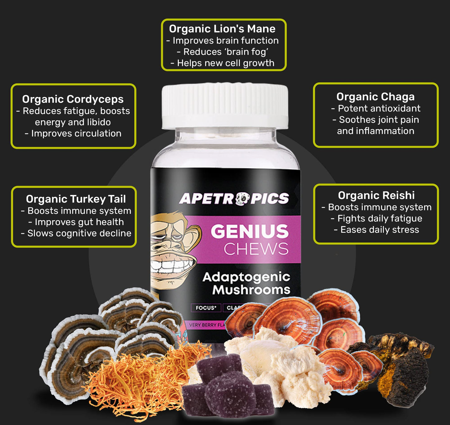Apetropics Genius Chews Brain Gummies with Lion’s Mane, Cordyceps, Reishi & Turkey Tail Mushroom - Immune Support and Nootropic Brain Supplement - Very Berry Flavor, 30 Gummies