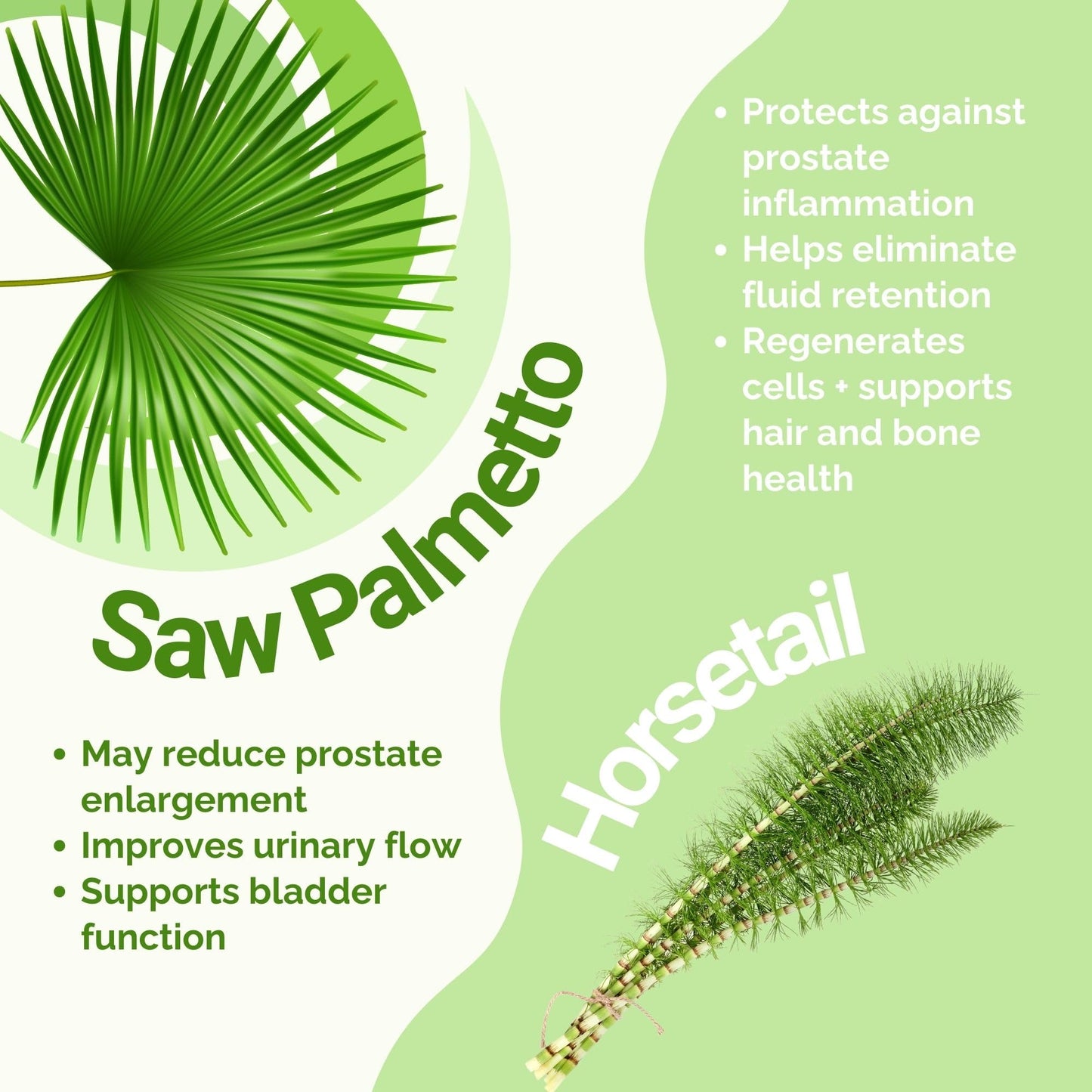 afye Saw Palmetto Prostate Supplement for Men with Propolis Extract & Horsetail, Capsules, 90 Count