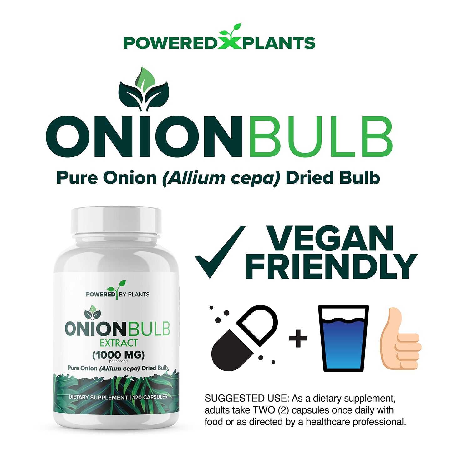 POWERED X PLANTS Onion Bulb Extract 1000mg Capsule, 120 Count