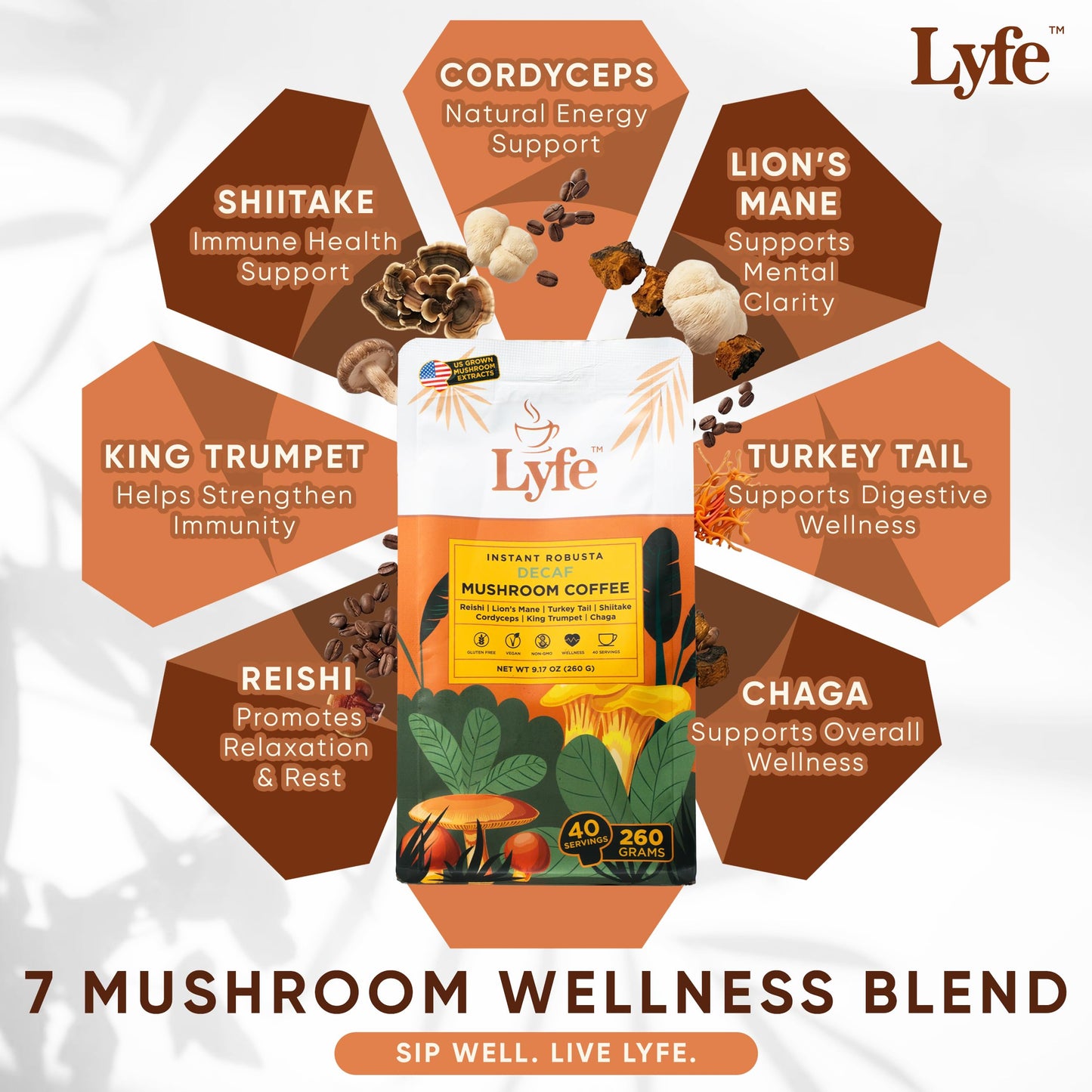 LYFE Organic Instant Decaf Mushroom Coffee Powder 9.17 oz