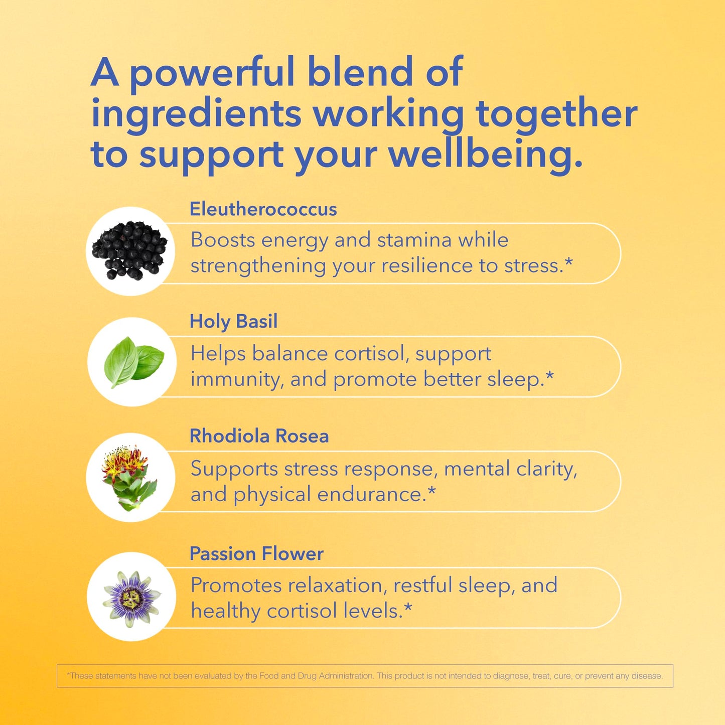 BIOLIGENT Adrenal Adapt Stress Support Supplement Capsule 1 Count