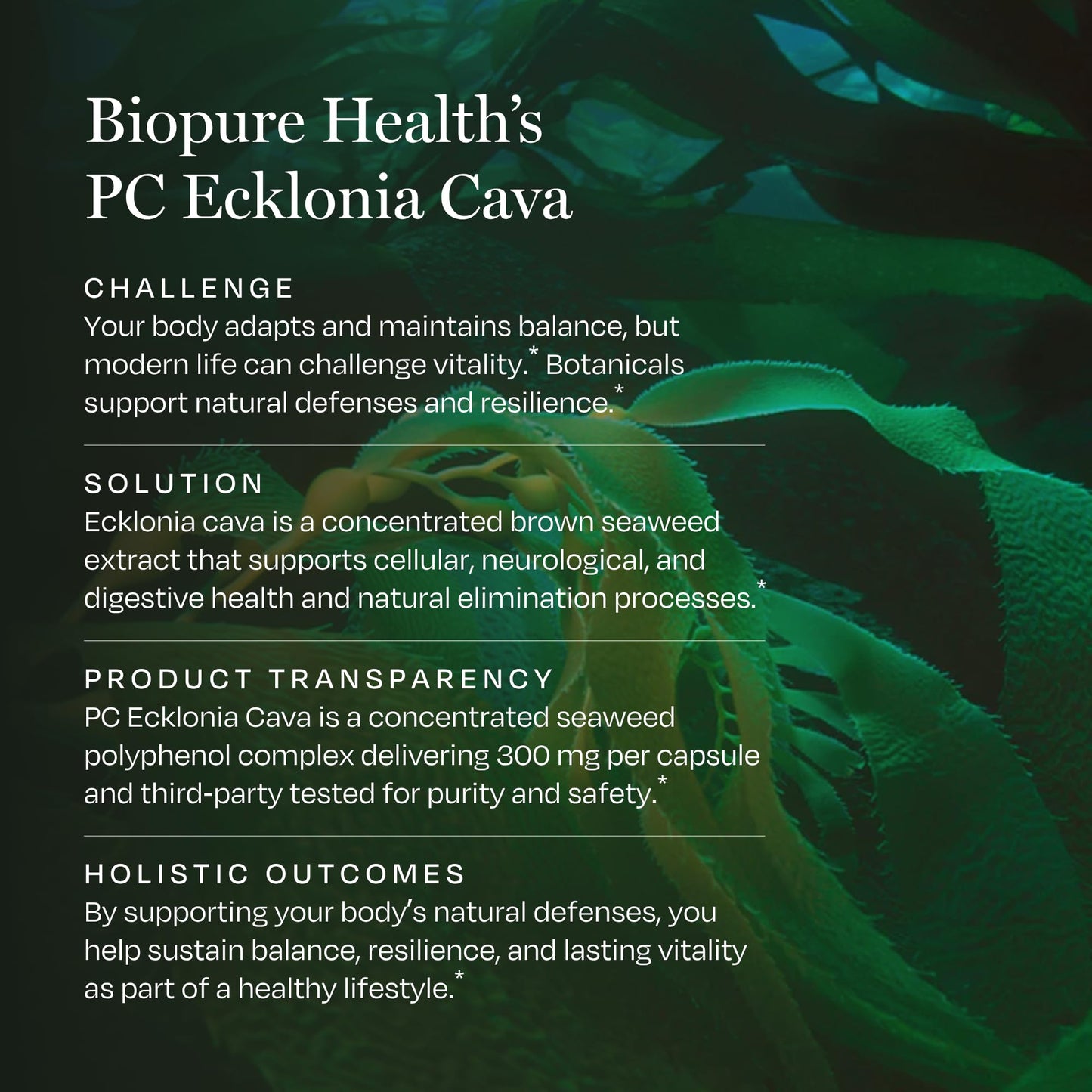 BioPure PC Ecklonia Cava Capsules – Marine Polyphenol Complex from Brown Seaweed, Rich in Phlorotannins, Trace Minerals & Nutrients for Cellular Health, Circulation & Immune Support, 75 Capsules