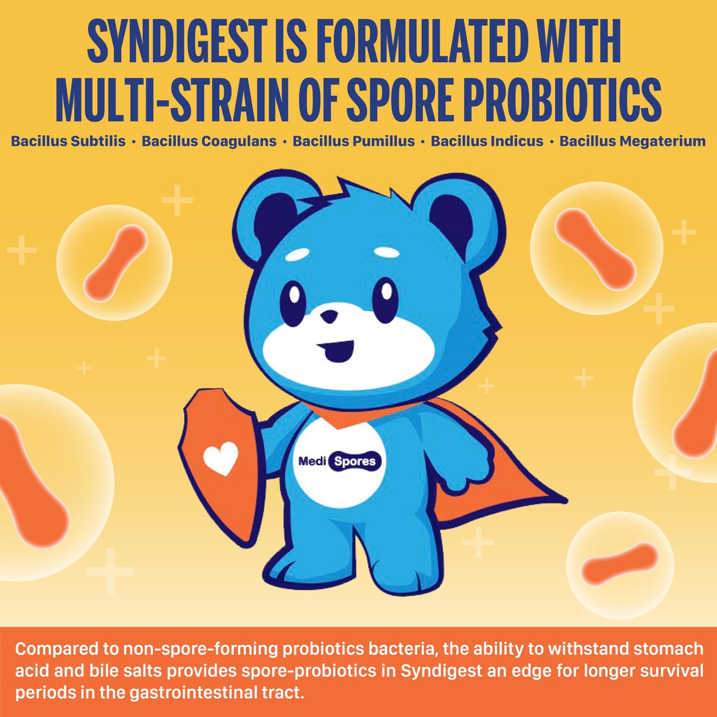 TMA Medispores Syndigest Probiotic Daily Care for Women & Men, Capsules, 60 Count
