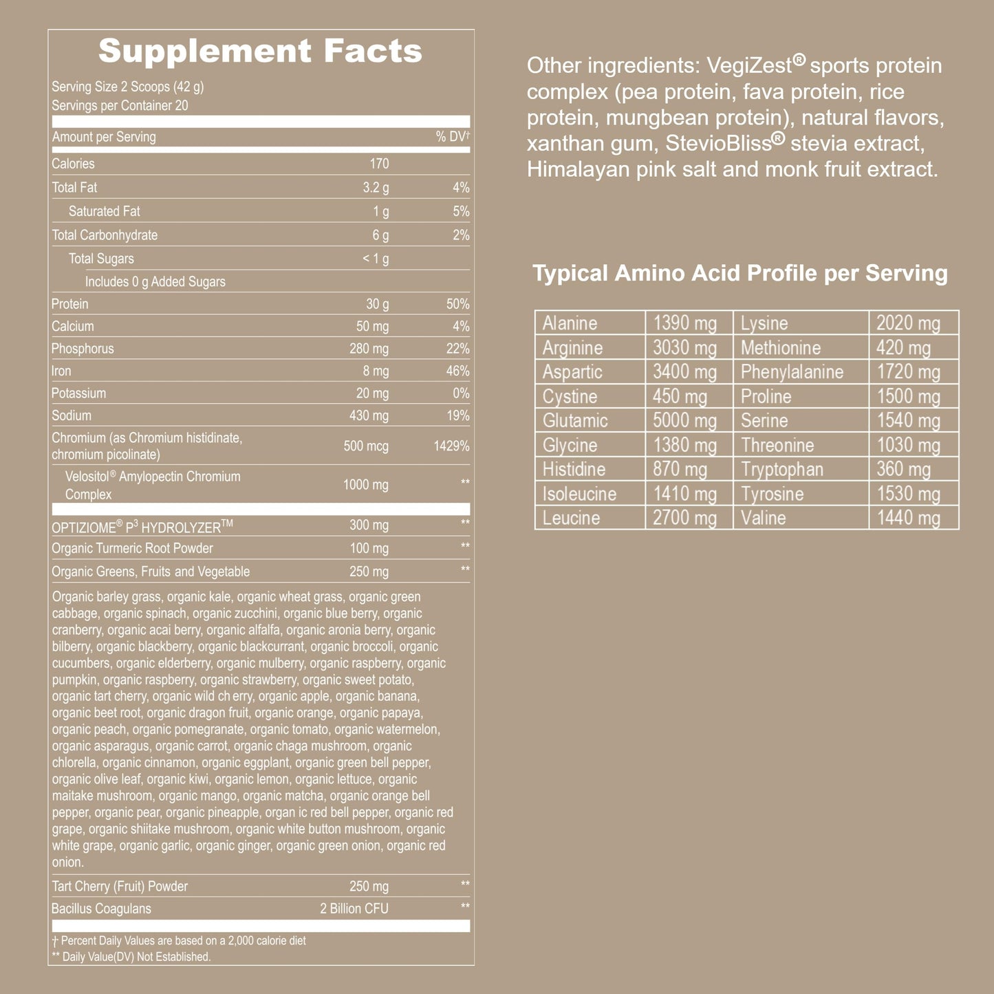 UpNourish Vegan Sport Protein Powder Vanilla - 20 Servings