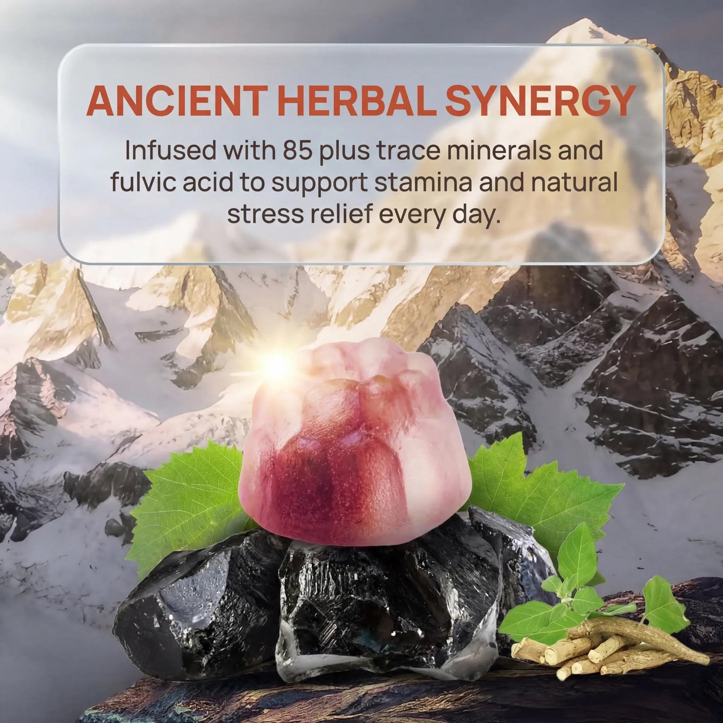 KIMON Himalayan Shilajit Gummies for Men & Women - 60 Gummies