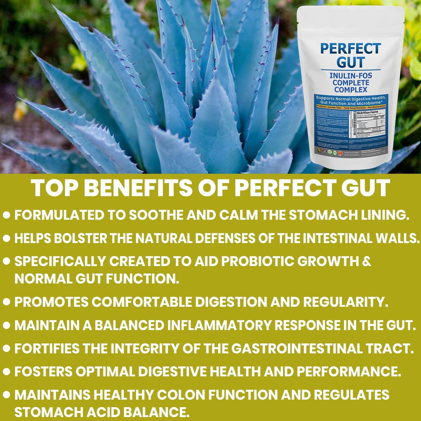 Kidney Restore Perfect Gut Inulin FOS Powder, 32