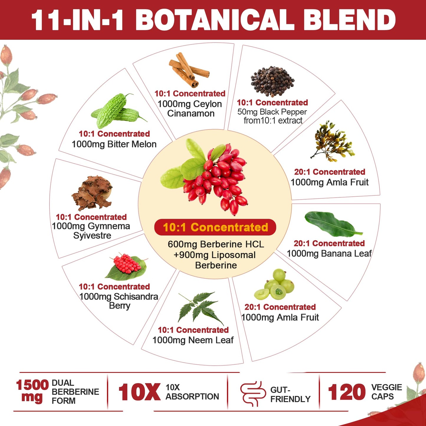 Nextdia Berberine Supplement Organic 1500mg with Ceylon Cinnamon Capsules, 120 Count