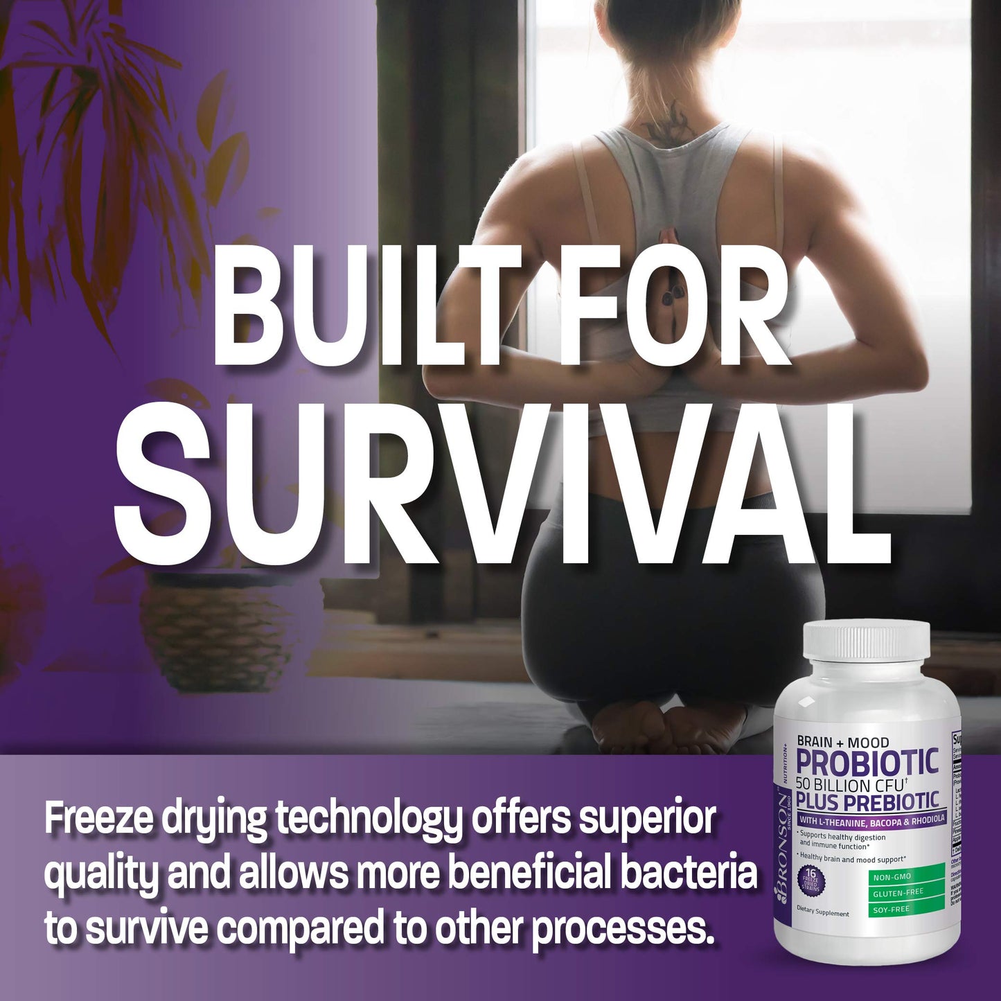 Bronson Brain + Mood Probiotic 50 Billion CFU Plus Prebiotic with L-Theanine, Bacopa and Rhodiola Non-GMO, 60 Capsules