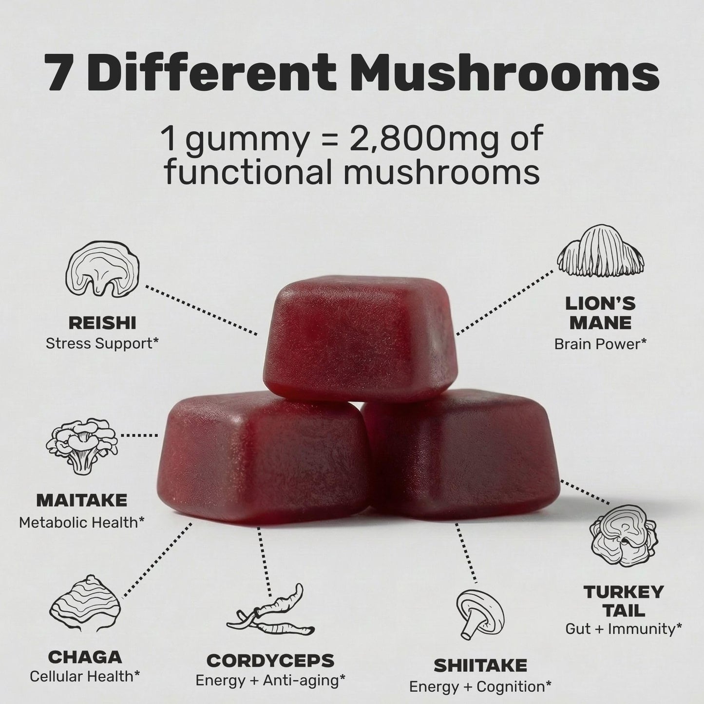 Stay Wyld Organics Super 7 Immunity+ Mushroom Gummy 30
