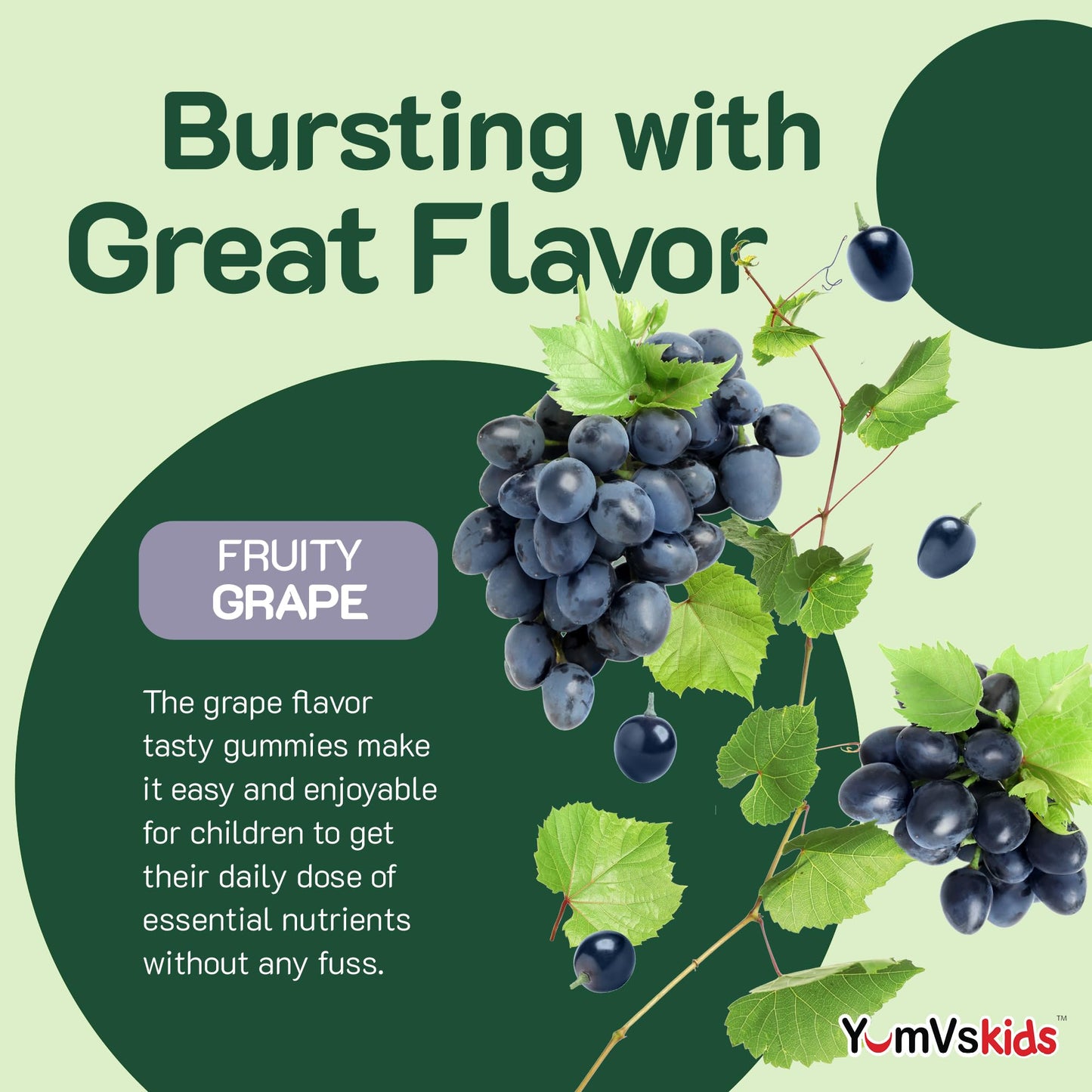YUM-V'S Iron Supplement for Kids Gummy 60 Count