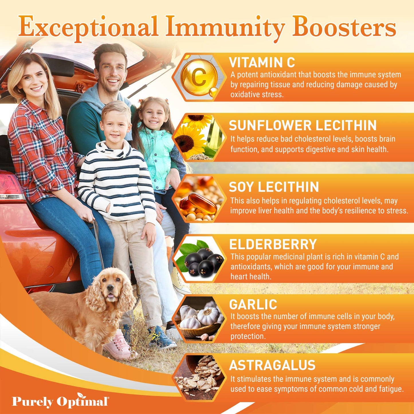Purely Optimal Premium Liposomal Vitamin C Capsules 90 Count