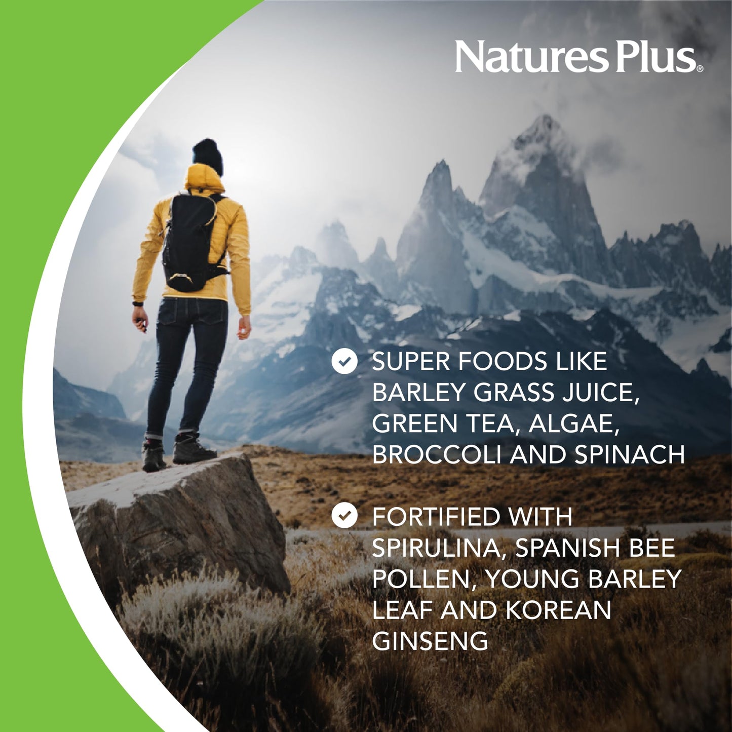 NaturesPlus FRUITEIN Revitalizing Green Foods Shake Powder 20.8 oz