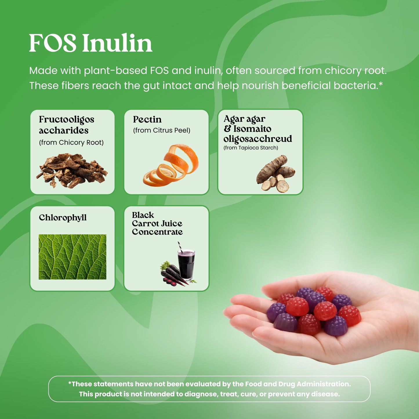 VITA GLOBE Prebiotic Fiber Gummies with FOS Inulin, Sugar Free, Non-GMO 60 Gummies