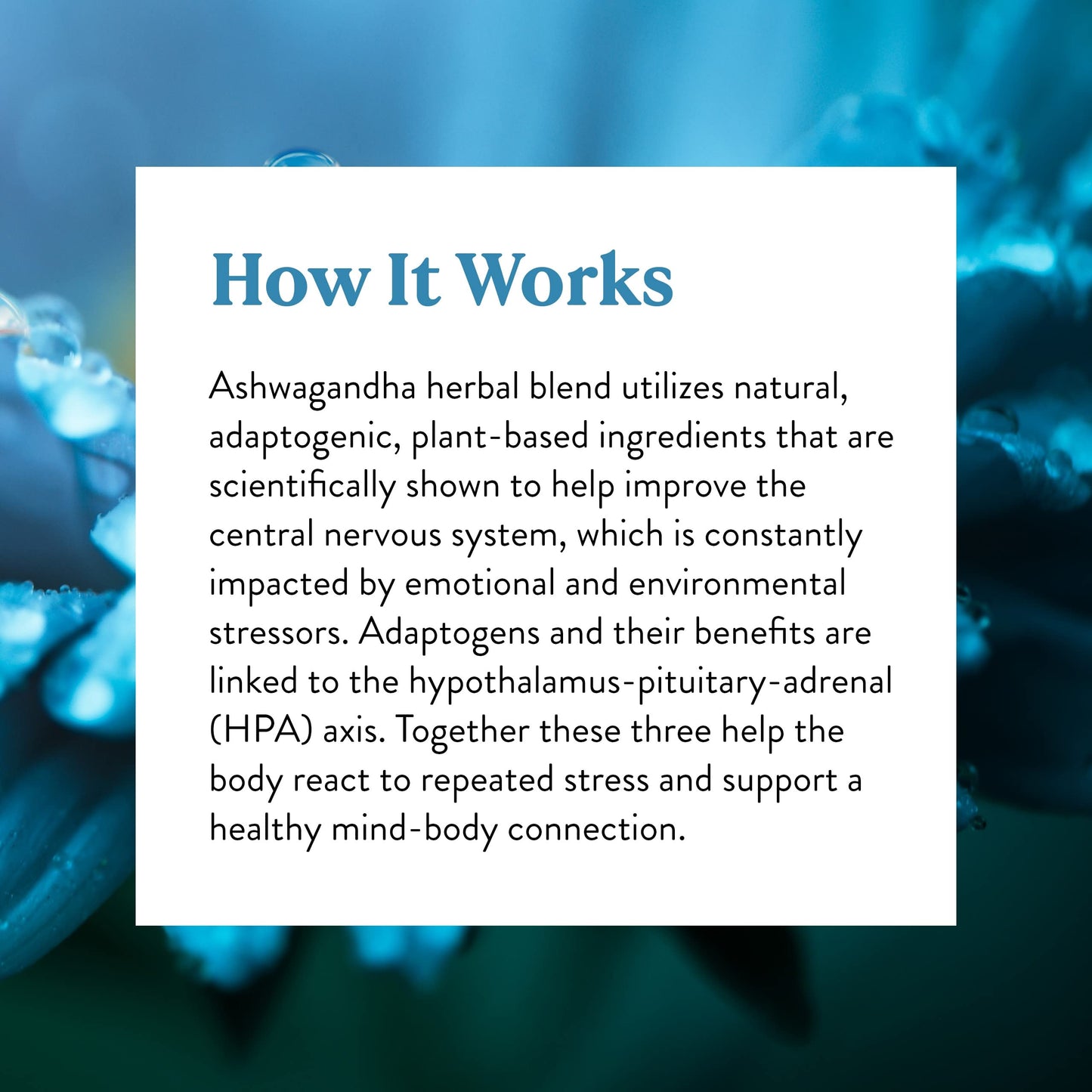 Nature's Sunshine Ashwagandha Capsules 60