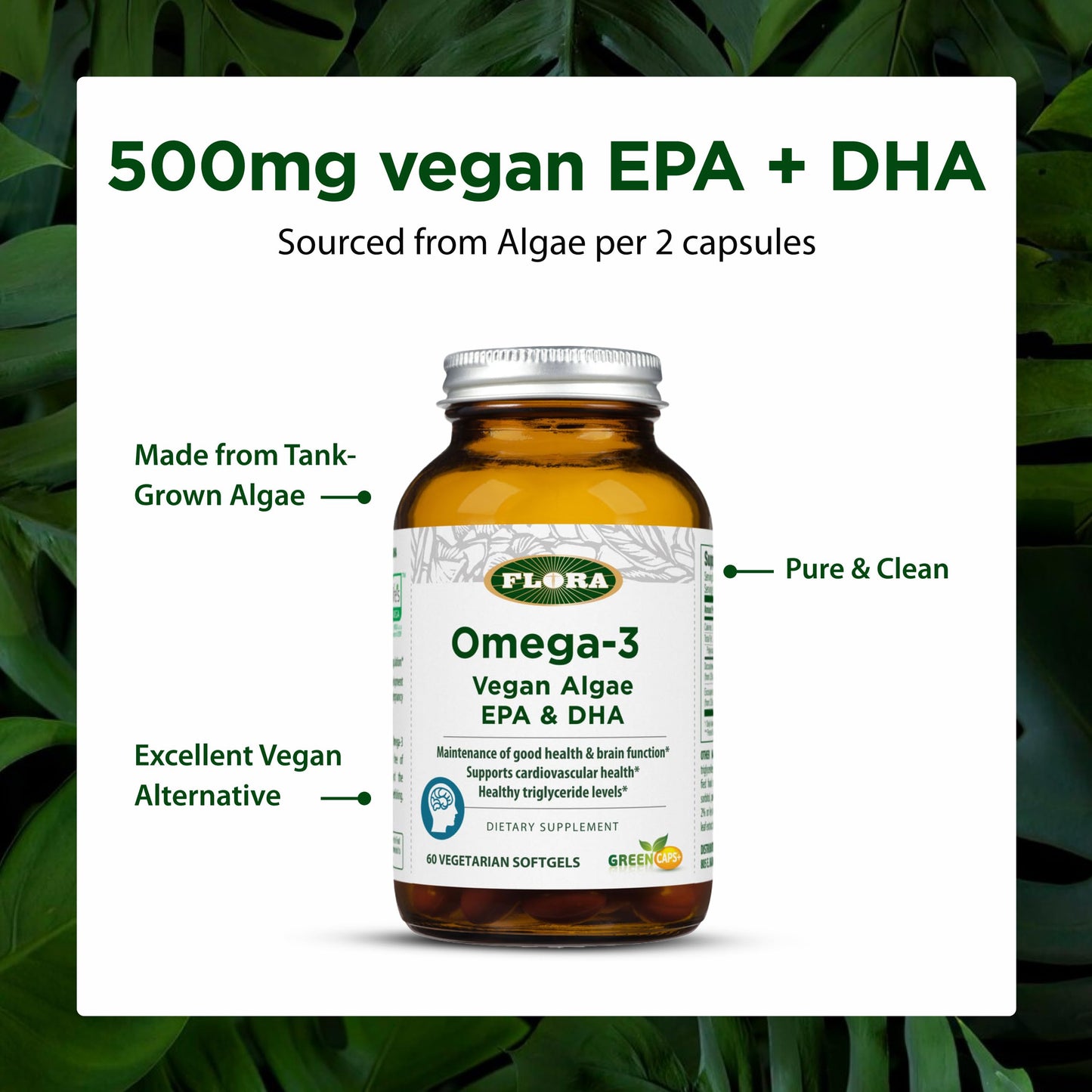 Flora Omega-3 Vegan Algae EPA & DHA GreenCaps Plus Softgels 60