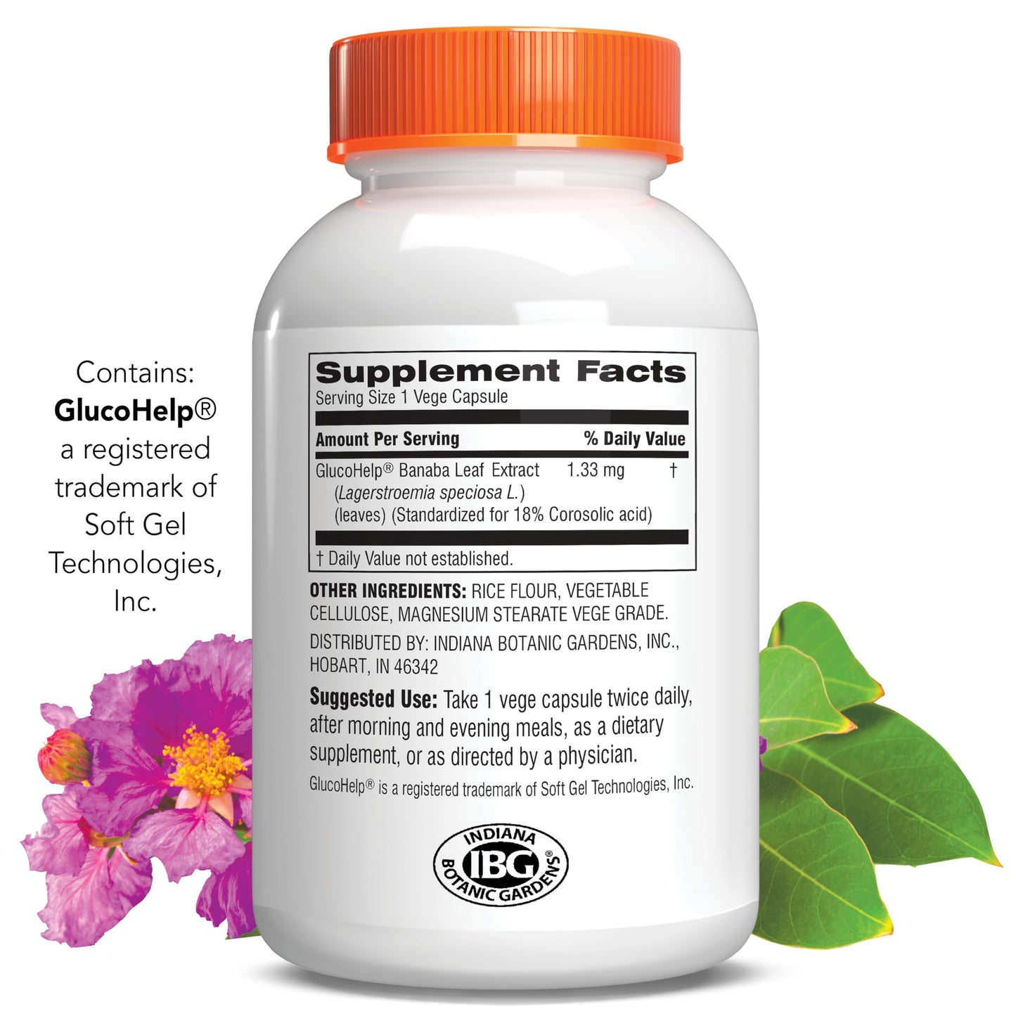 Botanic Choice GlucoHelp Banaba Leaf Extract Supplement Capsules, 60 Count