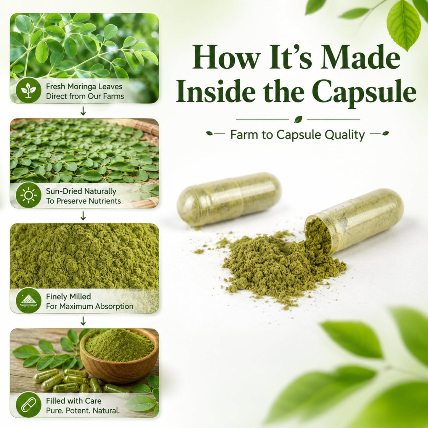 MEDI BOTIC Organic Moringa Capsules 800mg, 240 Count