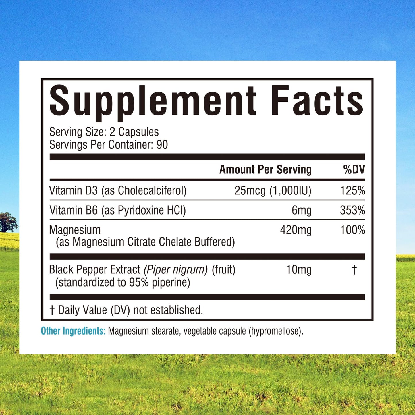 Innate Vitality Magnesium Citrate Chelated Magnesium Supplement with Vitamin D3, B6, Black Pepper Extract, Enhanced Absorption, Digestion, Bone & Brain Support, 180 Capsules