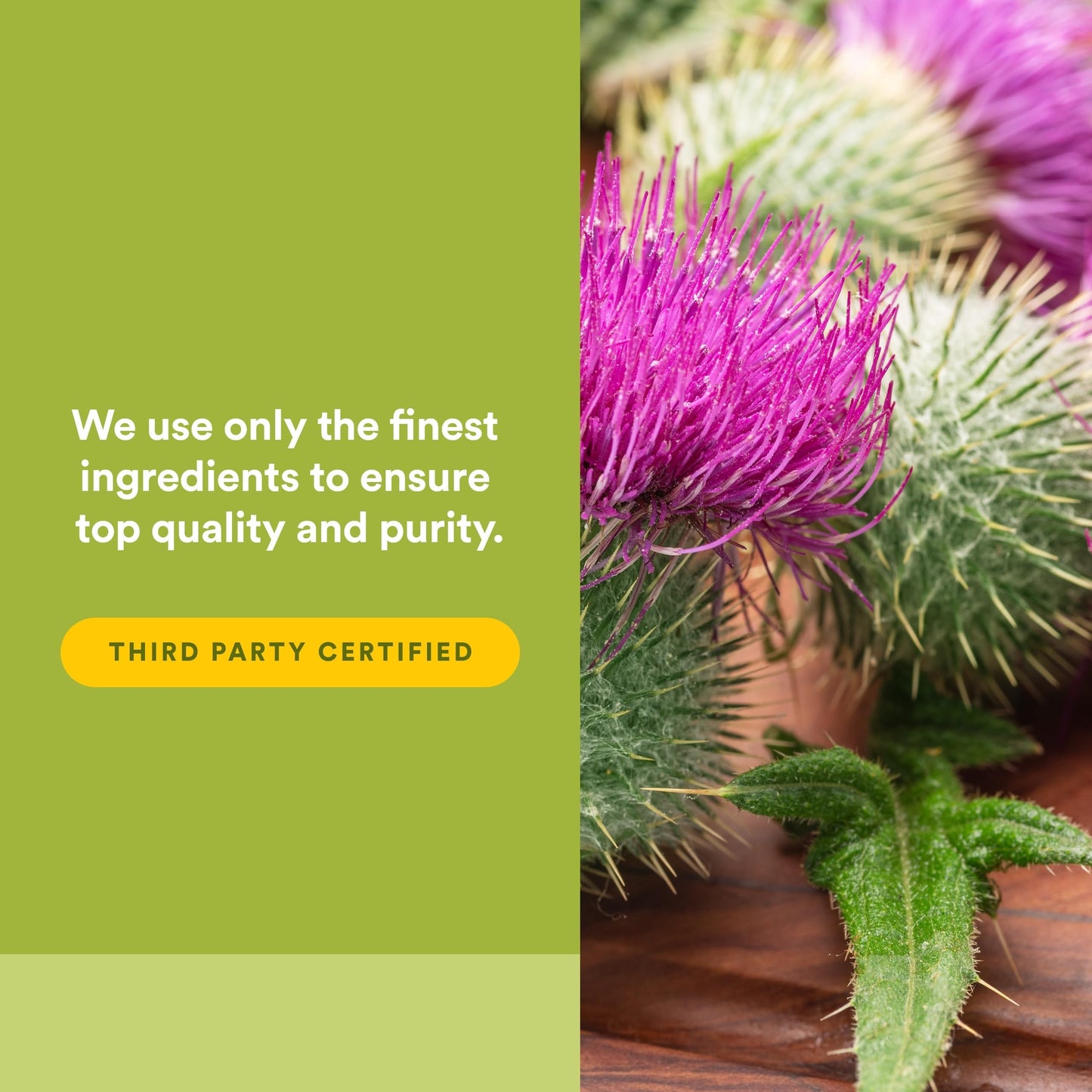 Natural Factors Milk Thistle Phytosome with Dandelion and Turmeric 90 Capsules