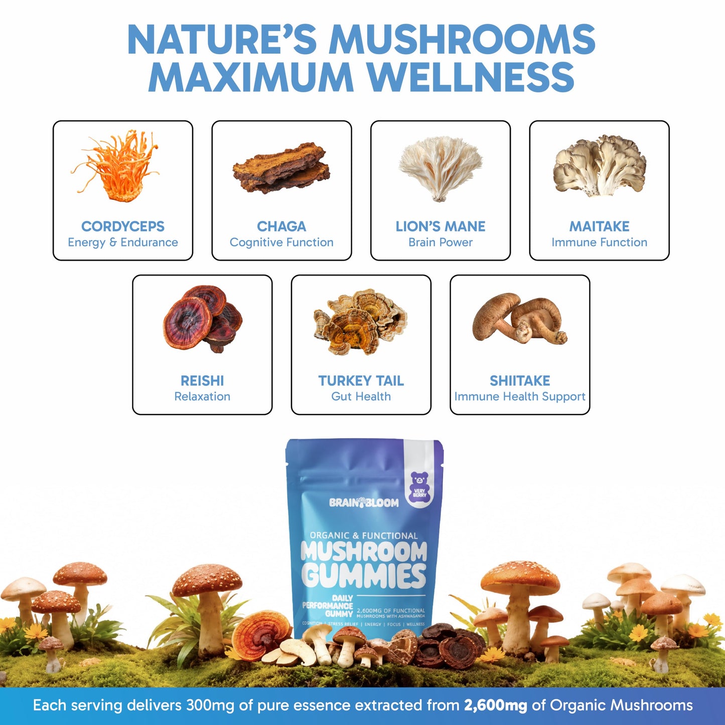 BrainBloom Mushroom Gummies for Focus & Energy – Lion’s Mane, Reishi, Chaga & Cordyceps + Ashwagandha – 2600mg 10:1 Extract – Fruiting Body – Daily Performance Supplement, 60 Gummies