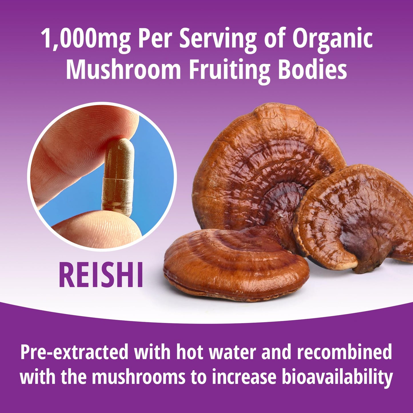 ENCAPSULATE Reishi Capsule 1000mg, 60 Capsules