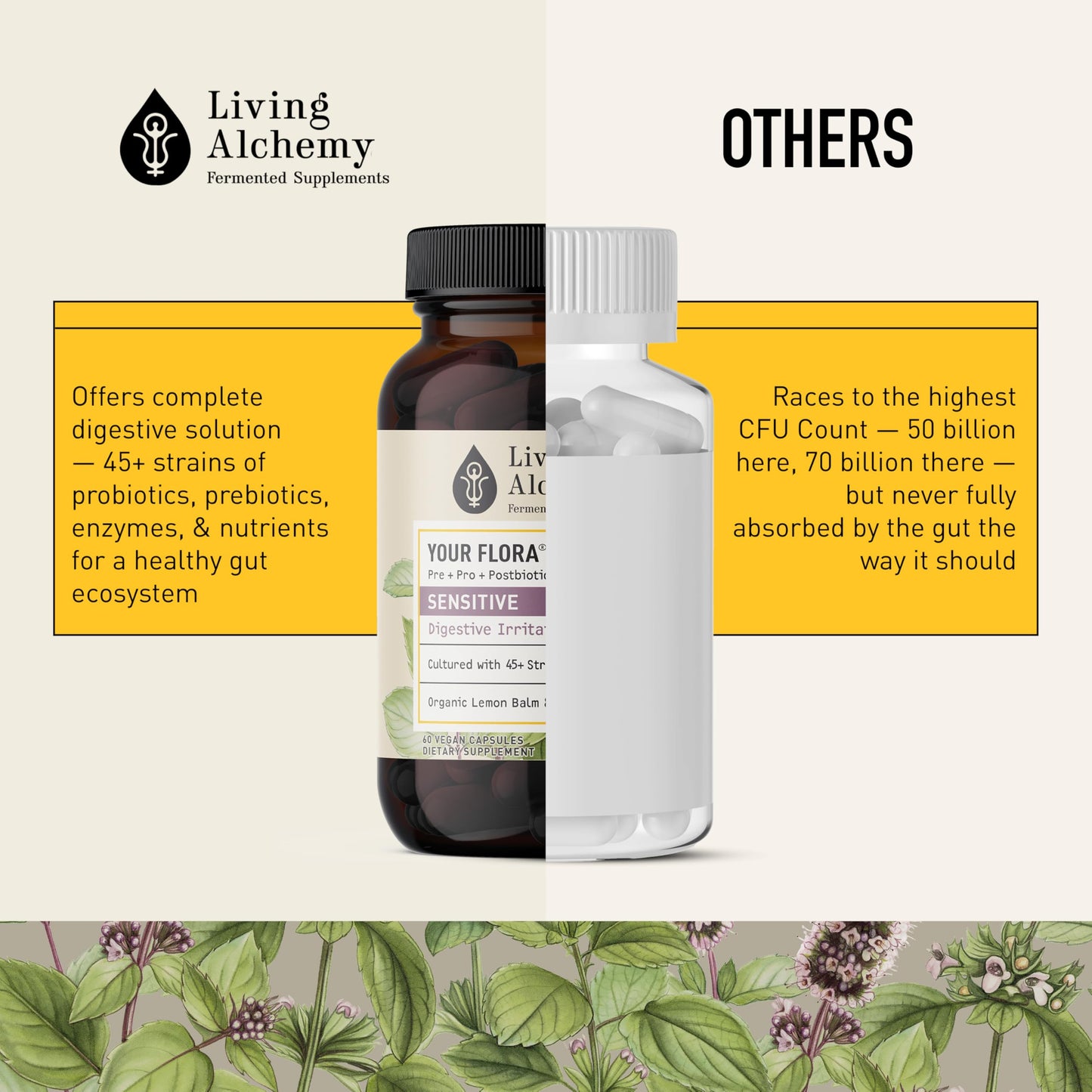 Living Alchemy Your Flora Probiotic Sensitive Capsules, 60 Count