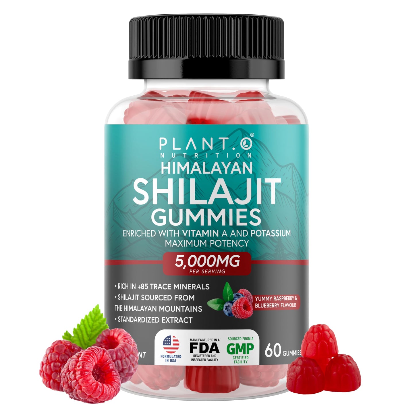 PLANT.O NUTRITION Shilajit Gummies for Men & Women, 60 Count