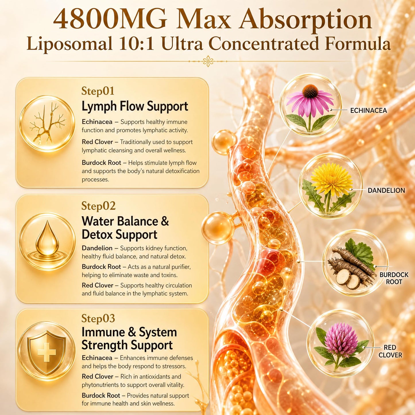 GUSUPY Lymphatic Drainage Support Capsules 90 Count