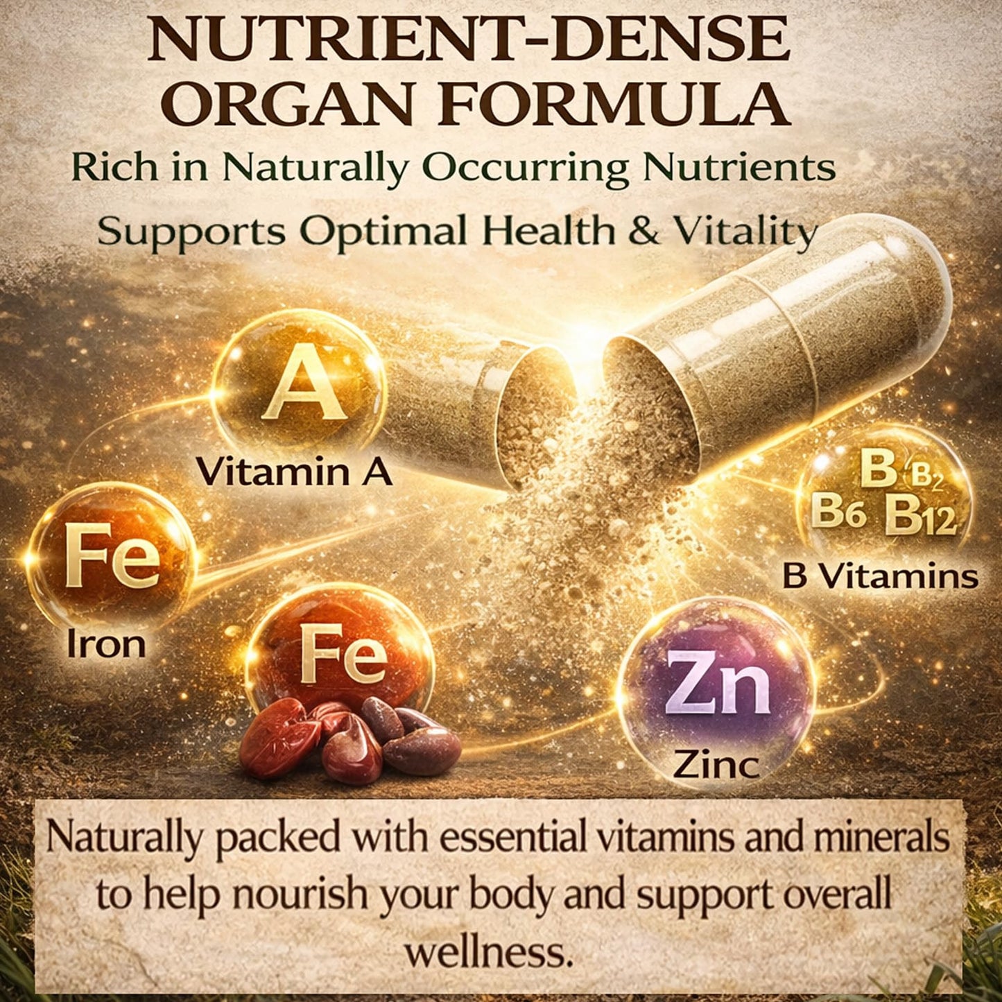 MORNING RISE Beef Organ Supplement Capsules, 90 Capsules