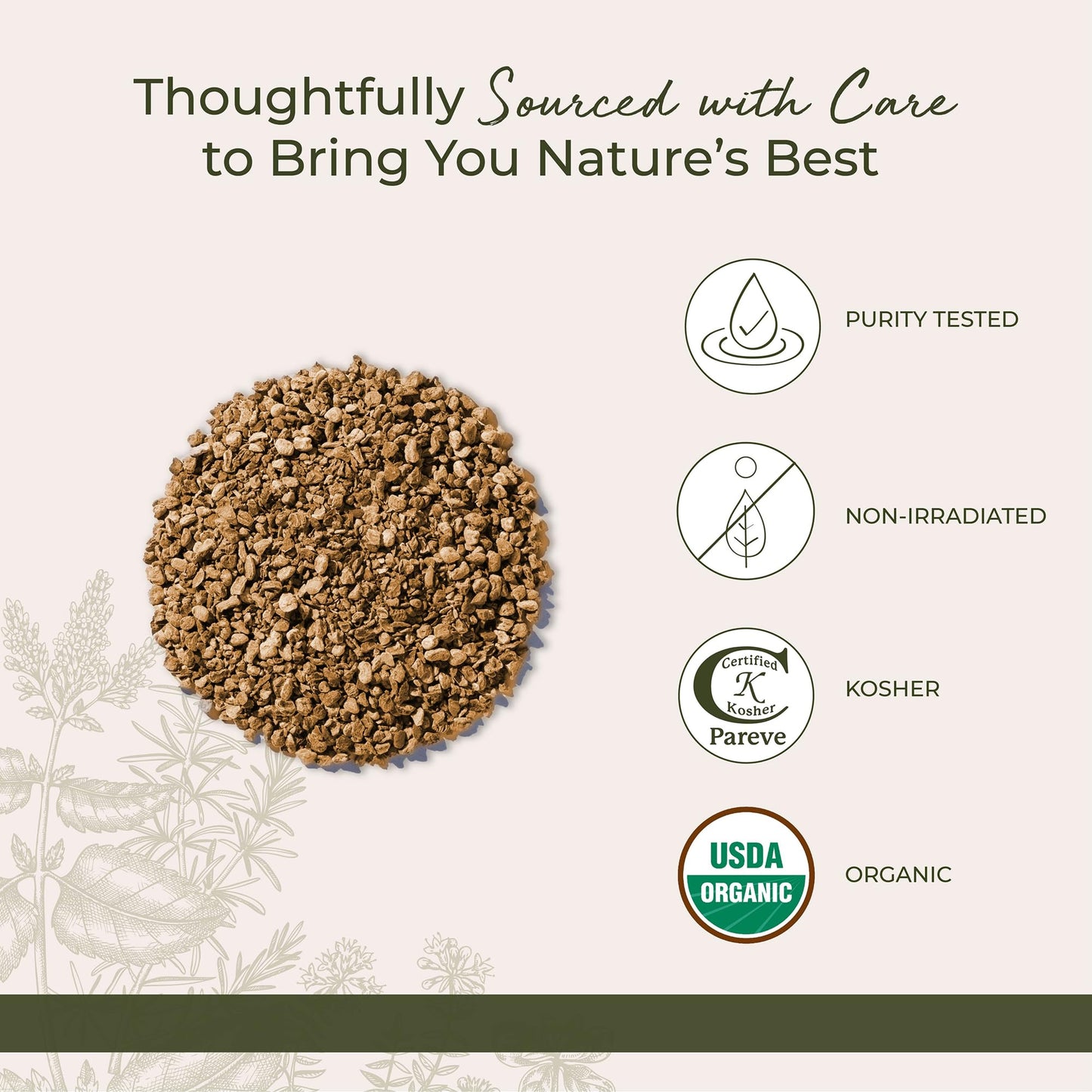 Starwest Botanicals Organic Devil's Claw Root Powder, 4 oz