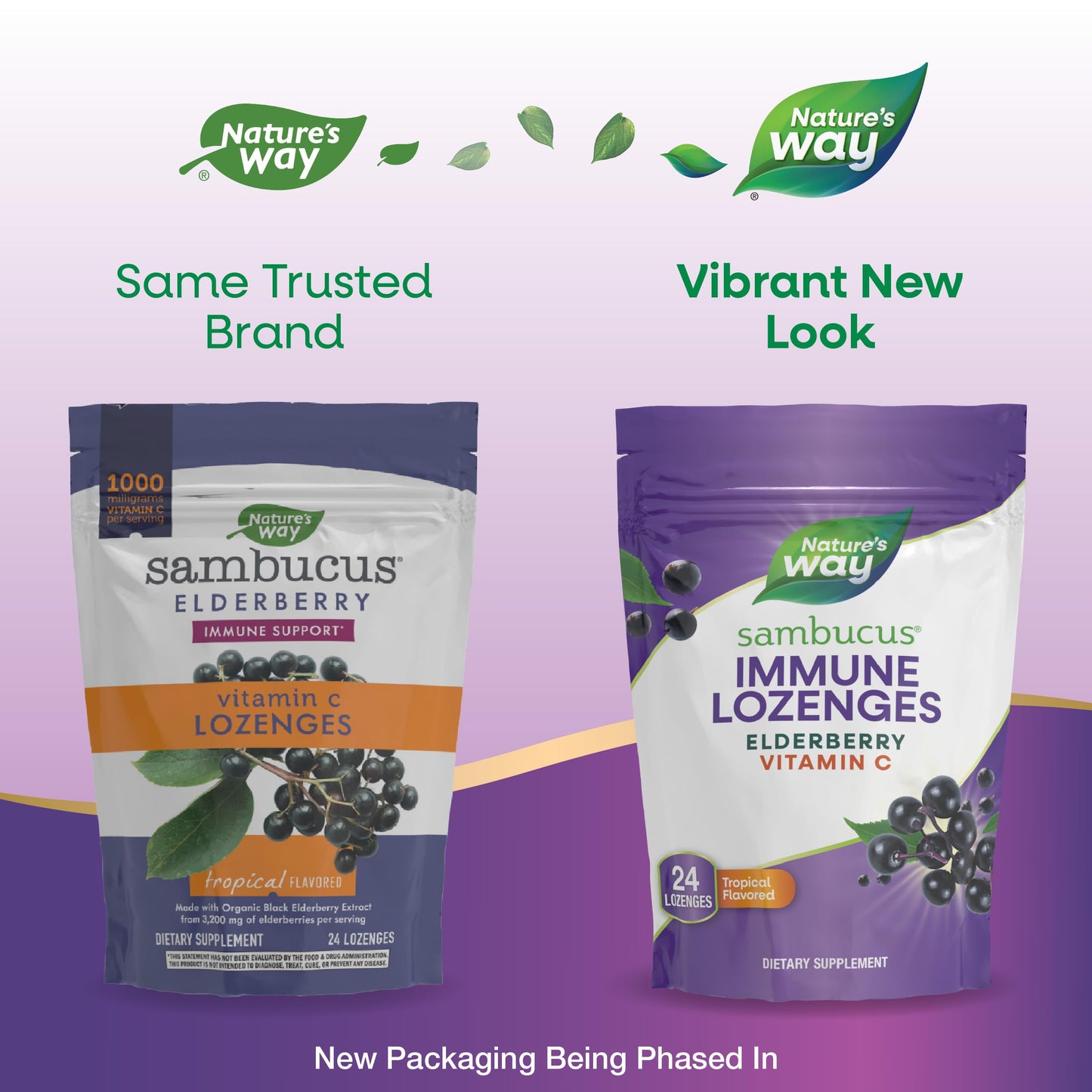 Nature's Way Sambucus Immune Lozenges, High Potency Vitamin C, Elderberry, 24 Tablets