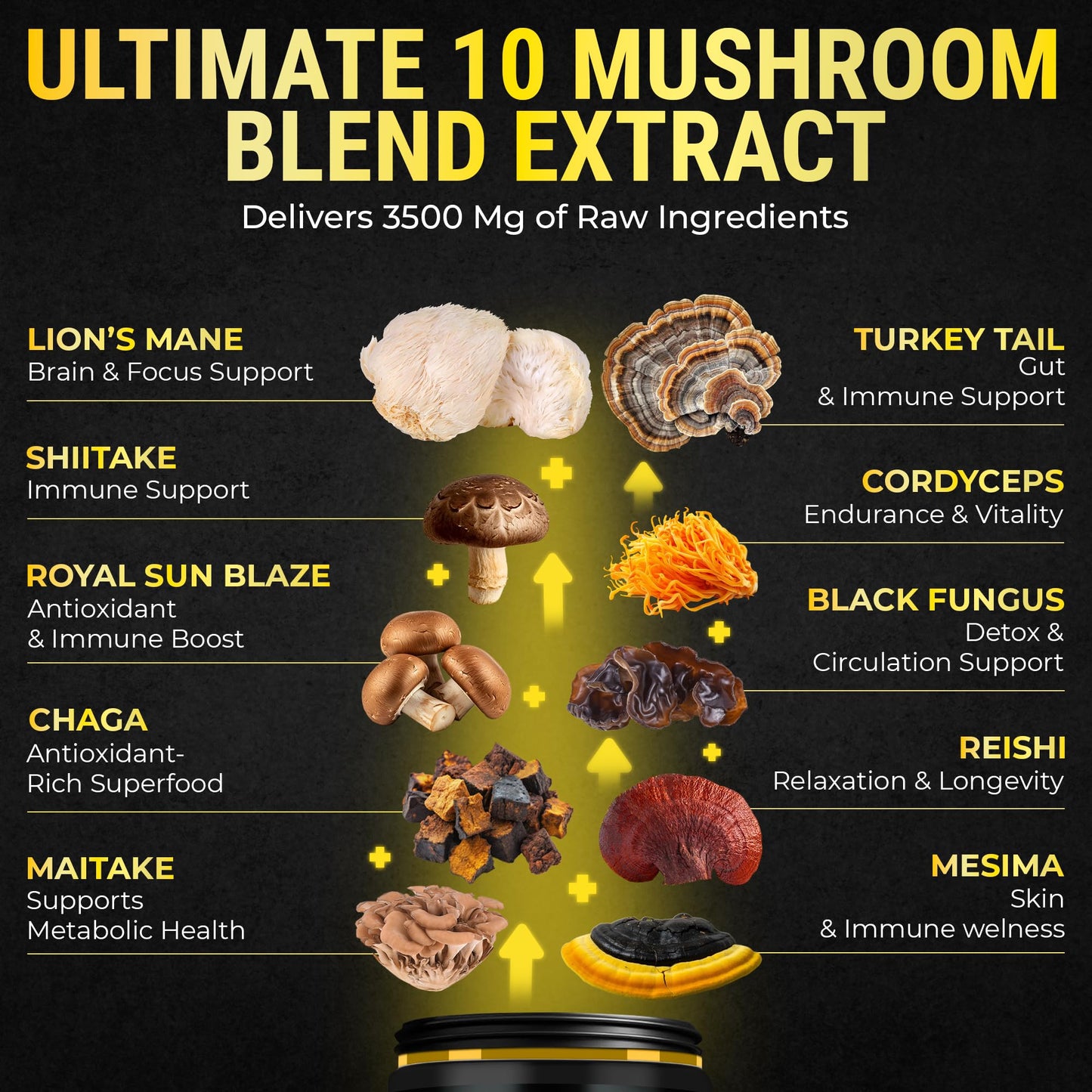 KEY ELEMENTS Organic Mushroom Complex with Shilajit & Coconut Oil Lions Mane Mushroom Supplement with Ashwagandha and L-Theanine Mushroom Nootropic for Memory, Focus & Immune Softgels 120