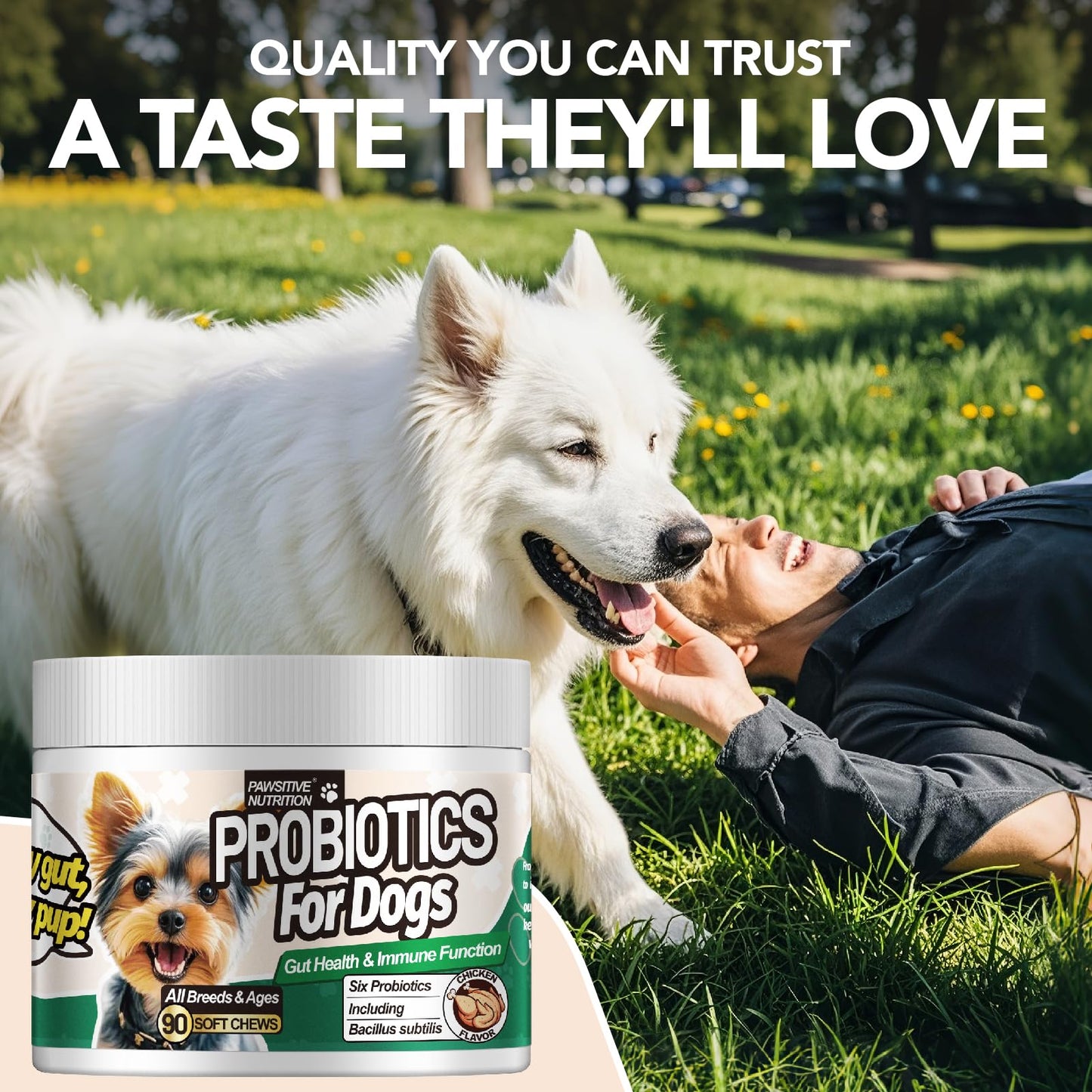 MEGNETA Probiotic Supplement for All Dogs Chewable 180 Chews