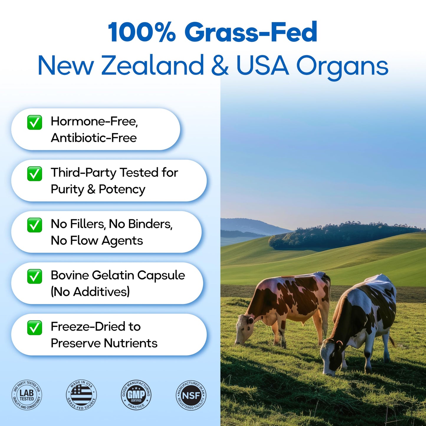 Folqs Grass Fed Beef Organ Supplement Capsules, 120 Capsules