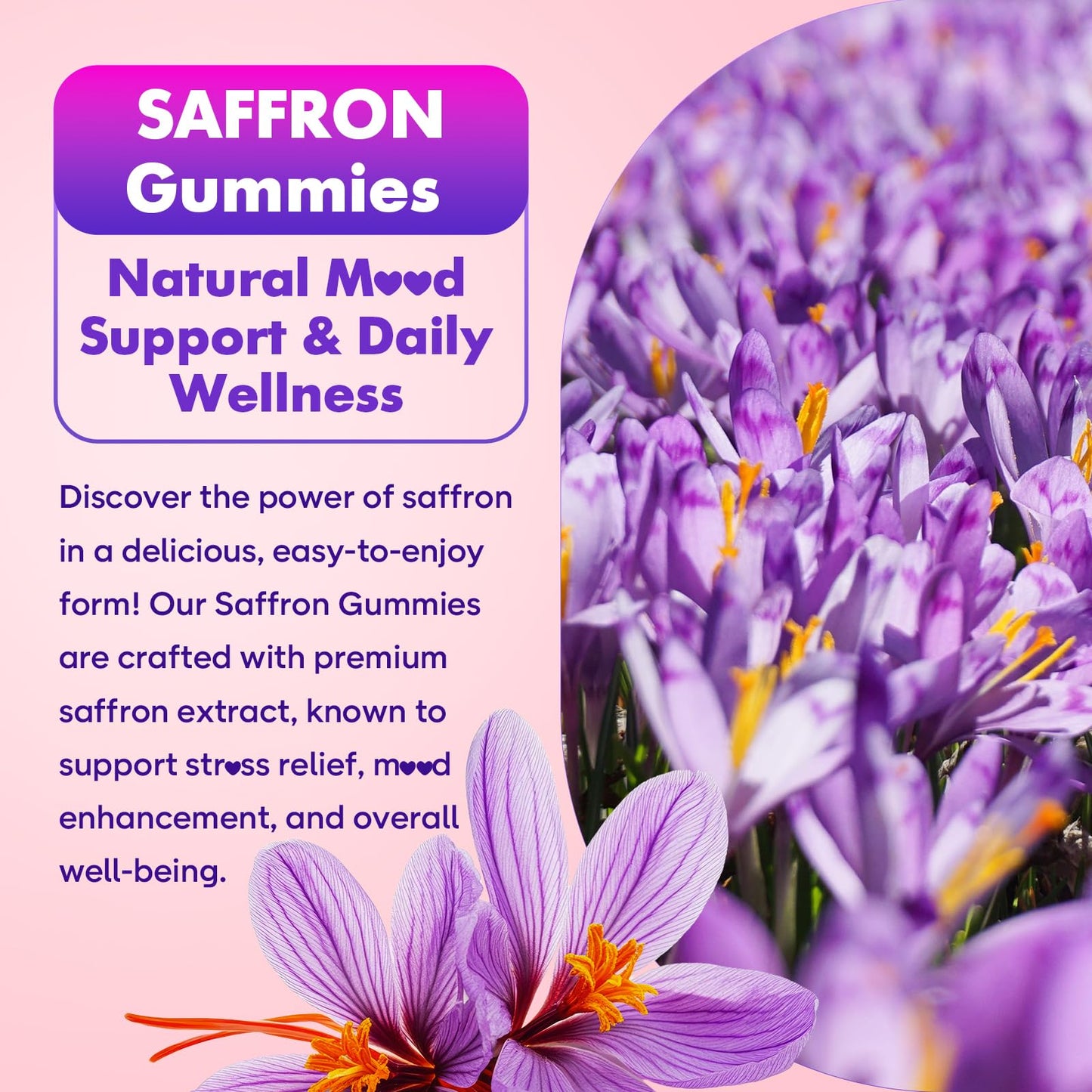 softbear Saffron Gummies Gummy 60 Count